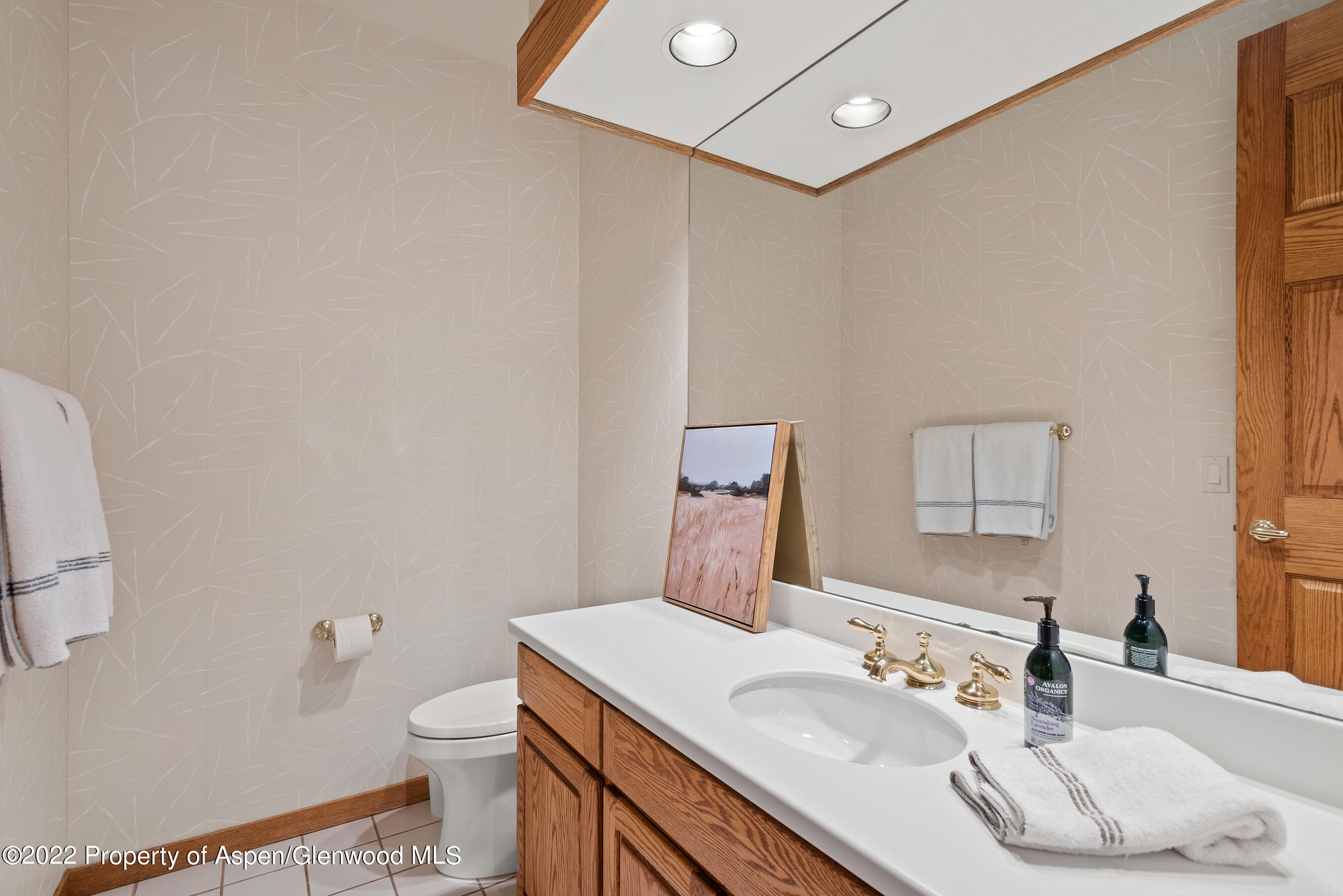 124 Fox Lane Snowmass Village CO 81615