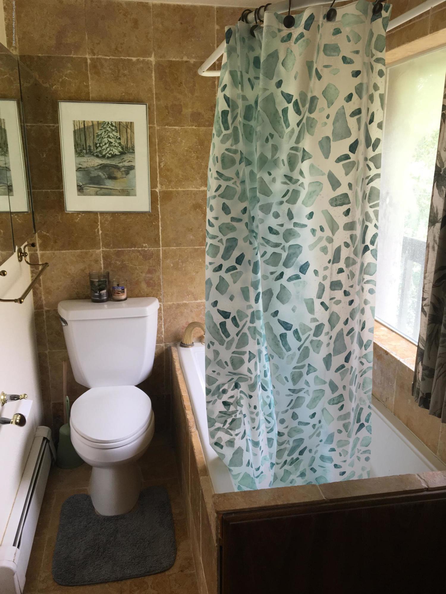203 Waterview Drive Snowmass CO 81654