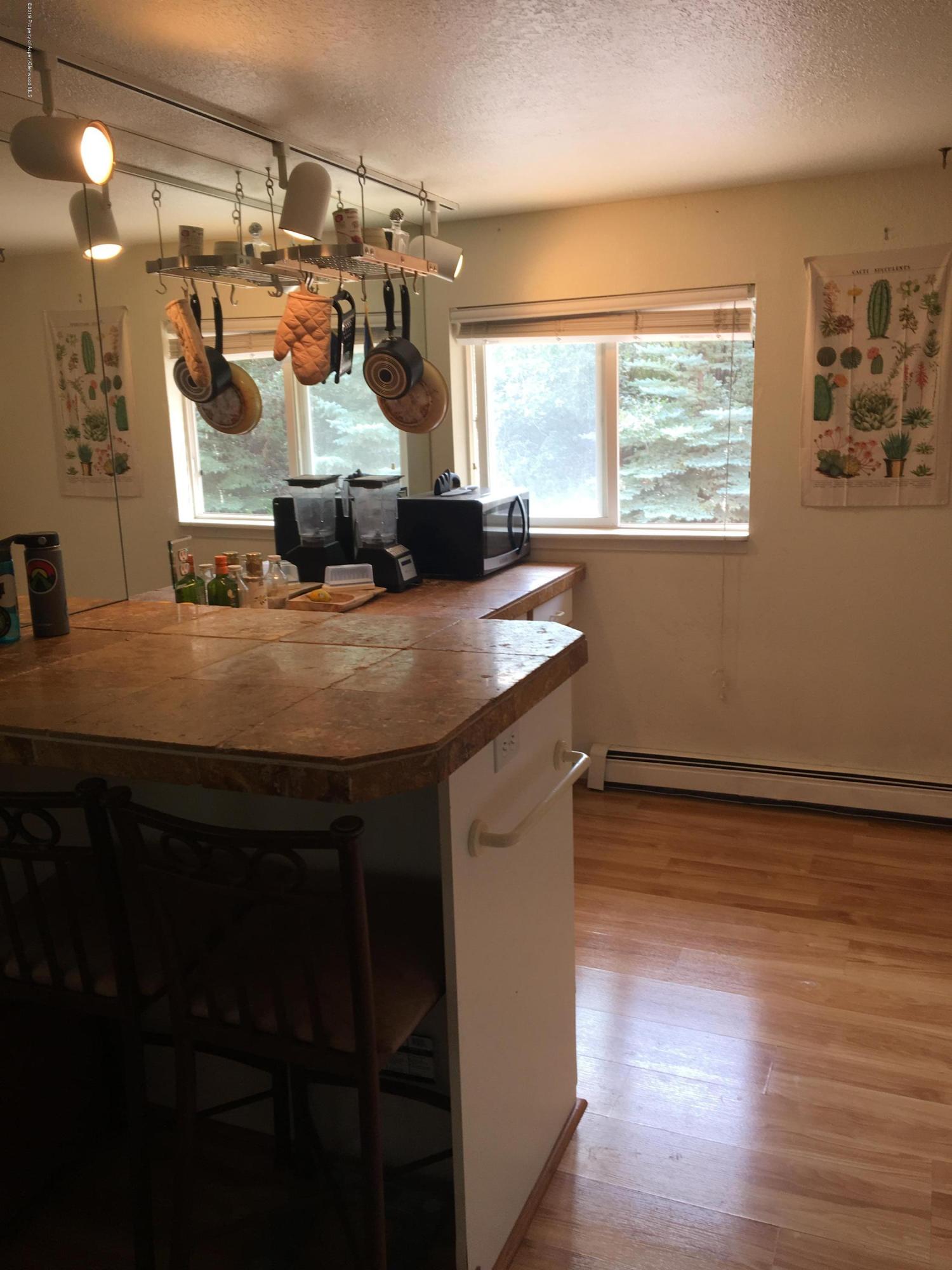203 Waterview Drive Snowmass CO 81654