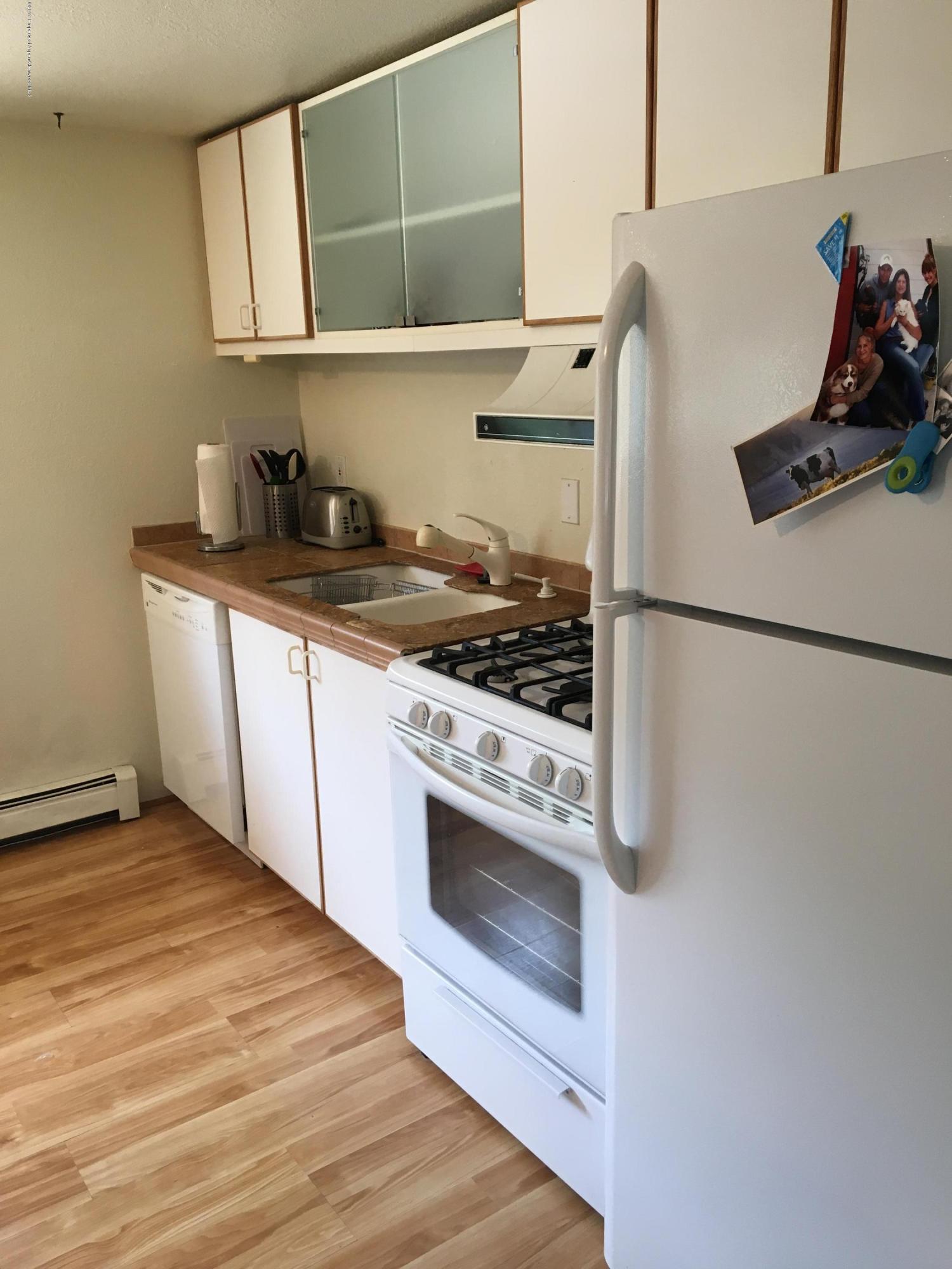 203 Waterview Drive Snowmass CO 81654