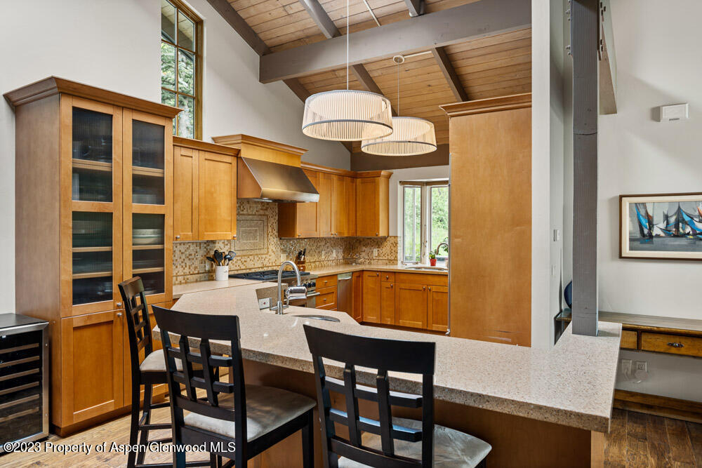 64 Eastwood Drive Aspen CO 81611