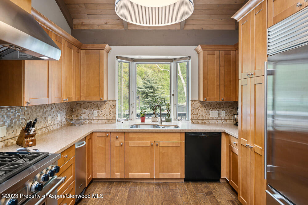 64 Eastwood Drive Aspen CO 81611