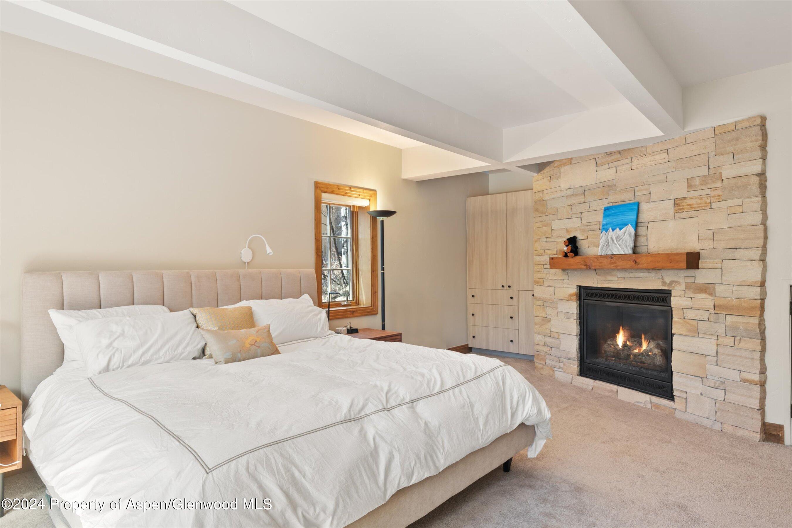 64 Eastwood Drive Aspen CO 81611