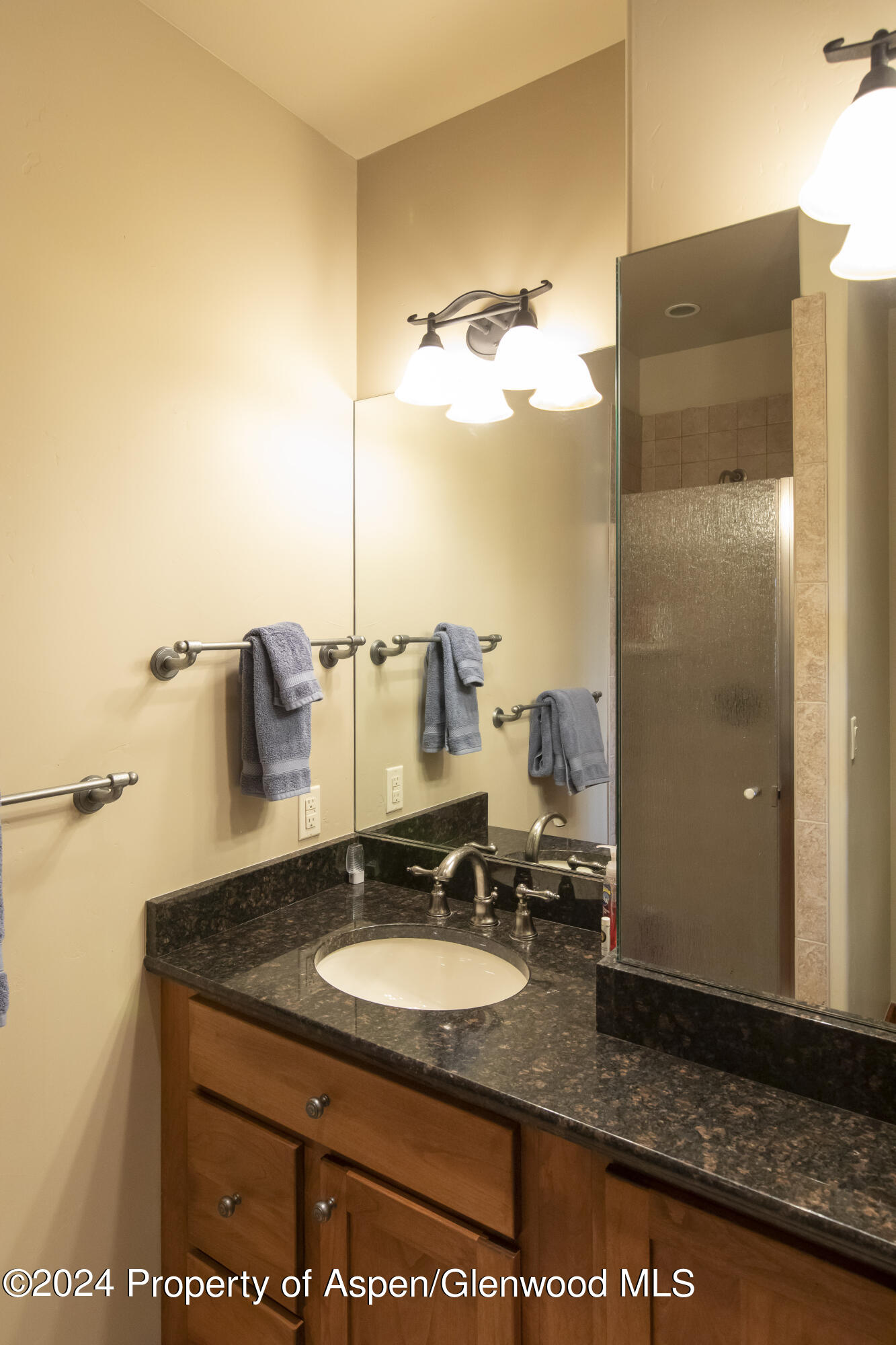 1124 Heritage Drive Carbondale CO 81623