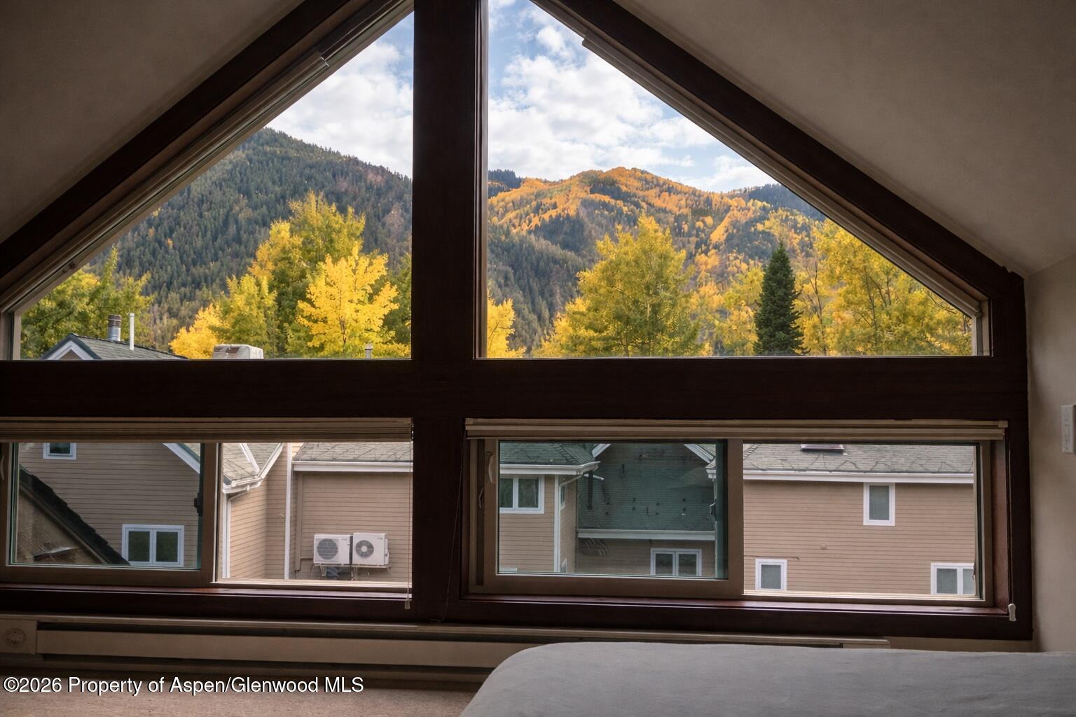 409 Park Circle Aspen CO 81611