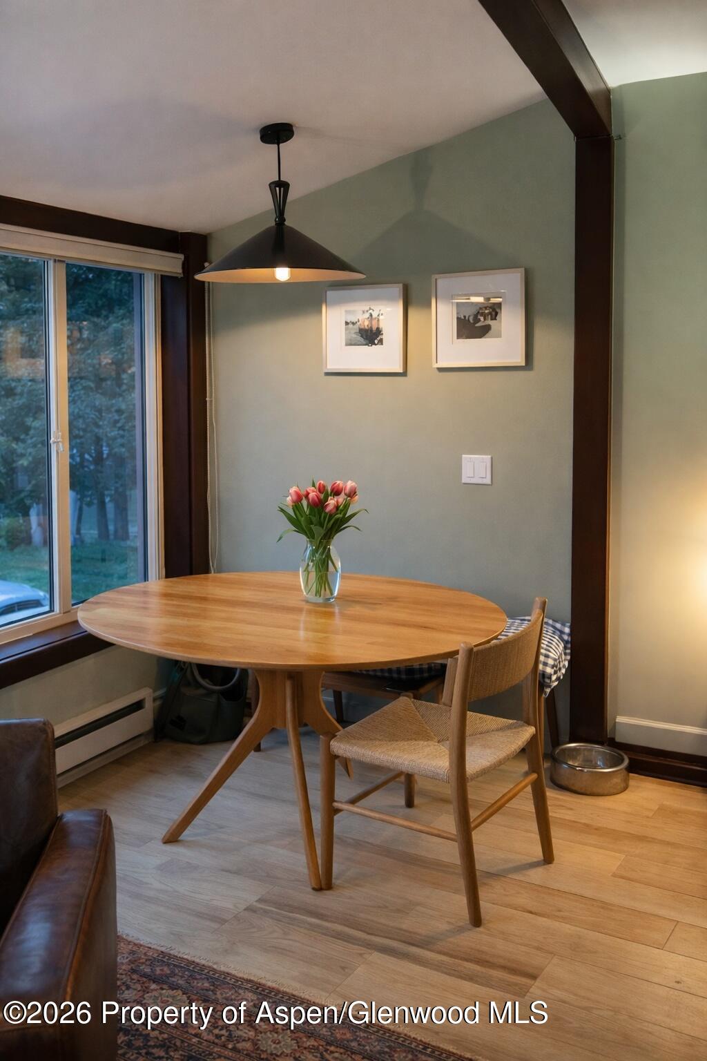 409 Park Circle Aspen CO 81611