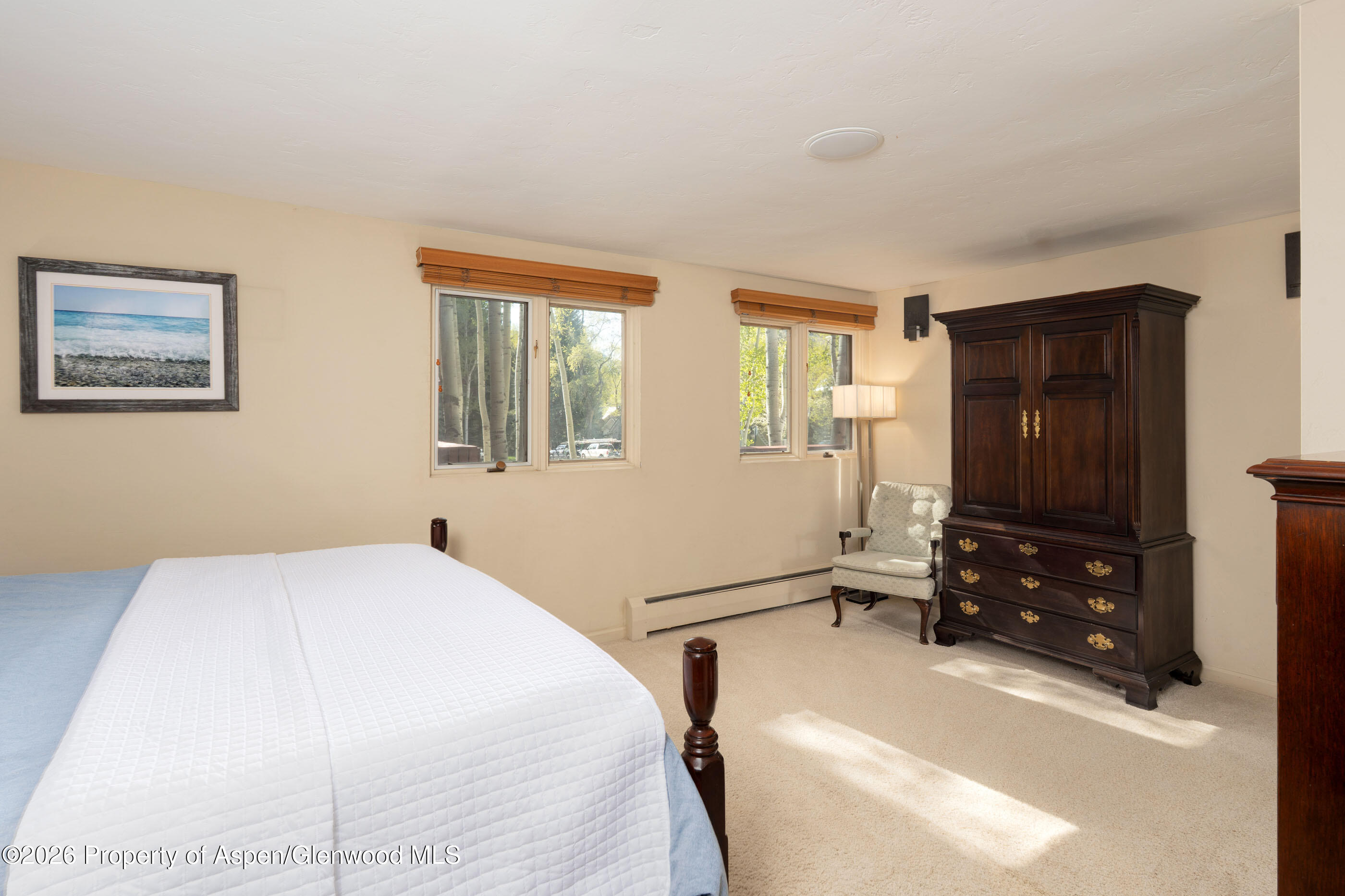 400 W Hopkins Avenue Aspen CO 81611