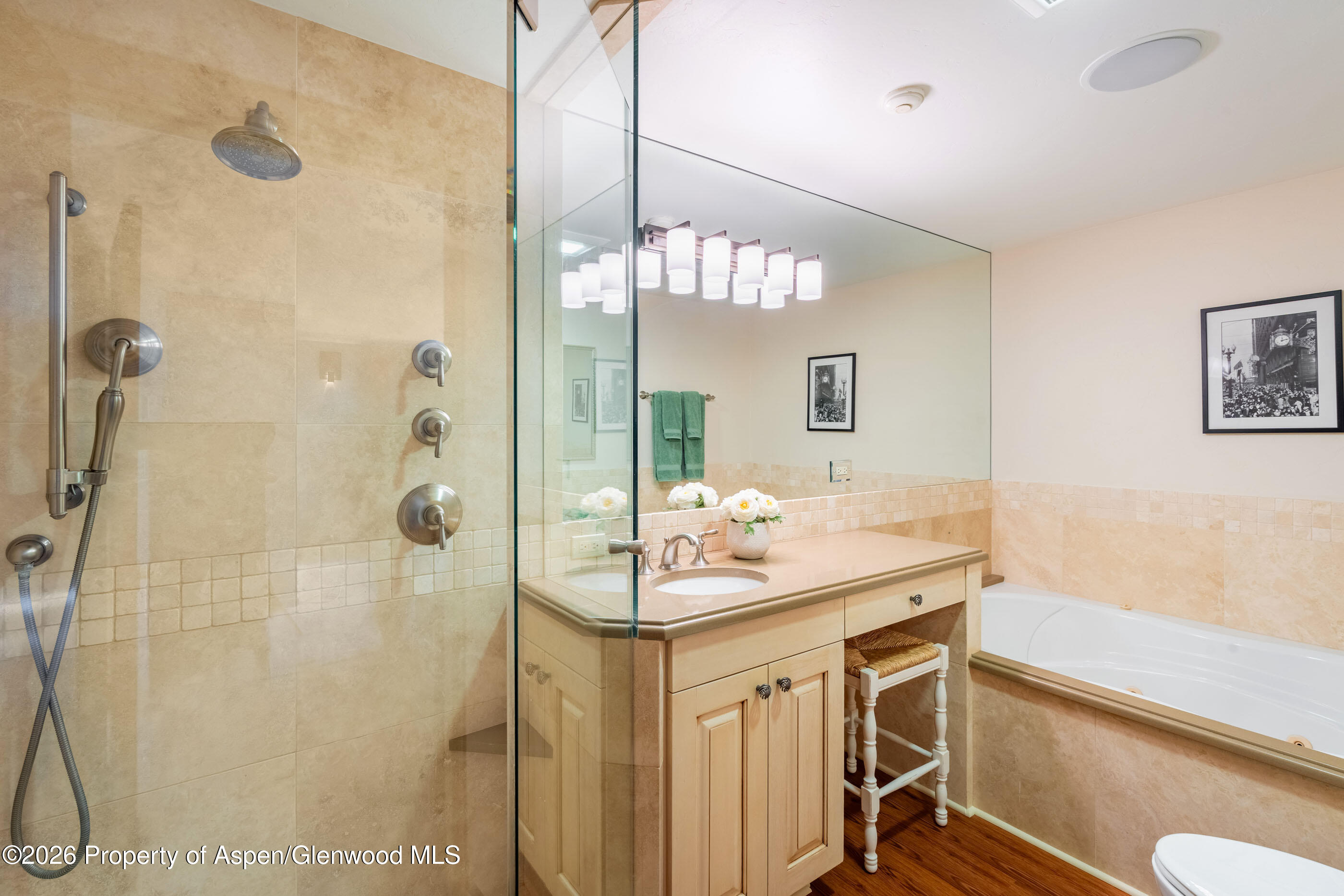 400 W Hopkins Avenue Aspen CO 81611