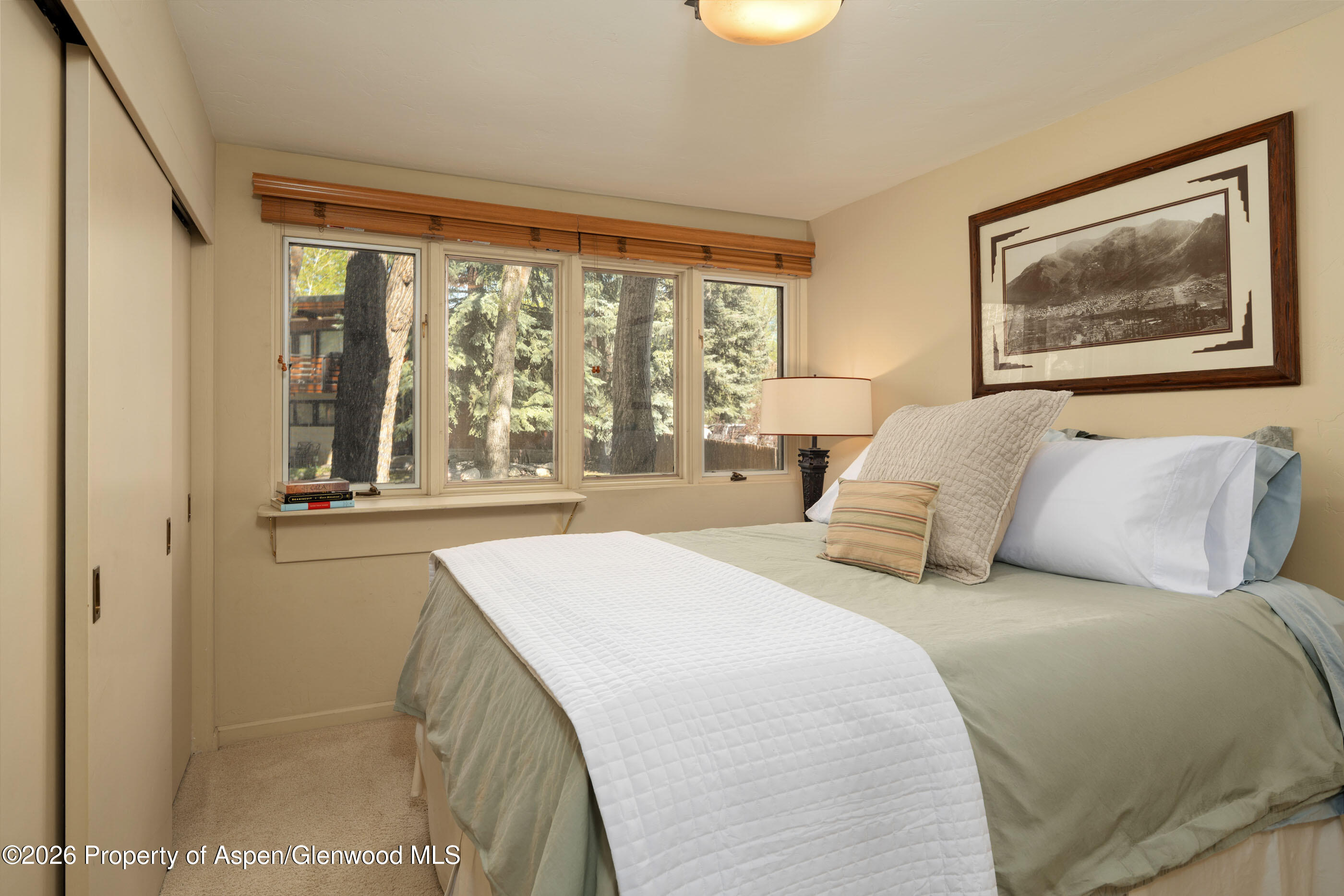 400 W Hopkins Avenue Aspen CO 81611