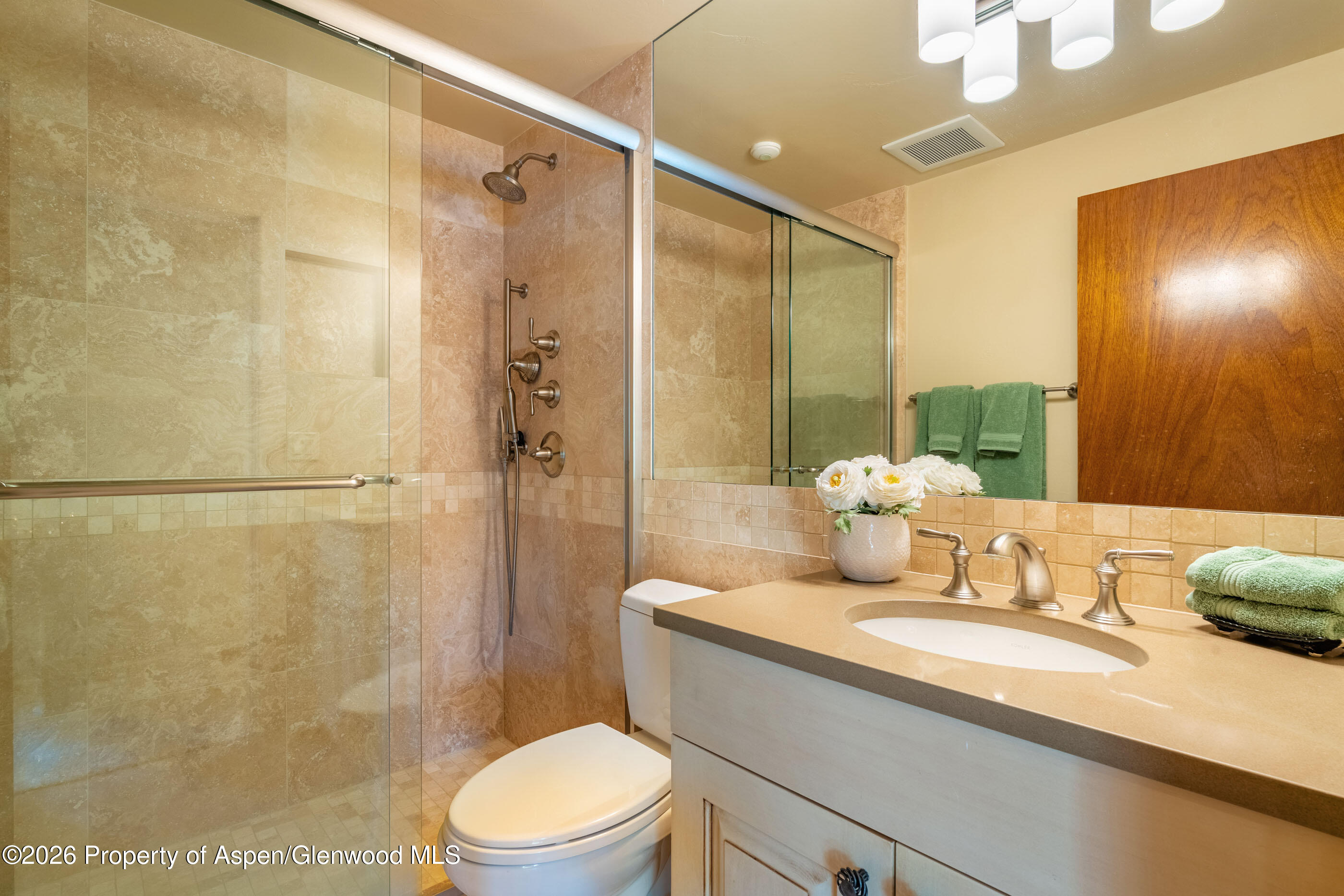 400 W Hopkins Avenue Aspen CO 81611