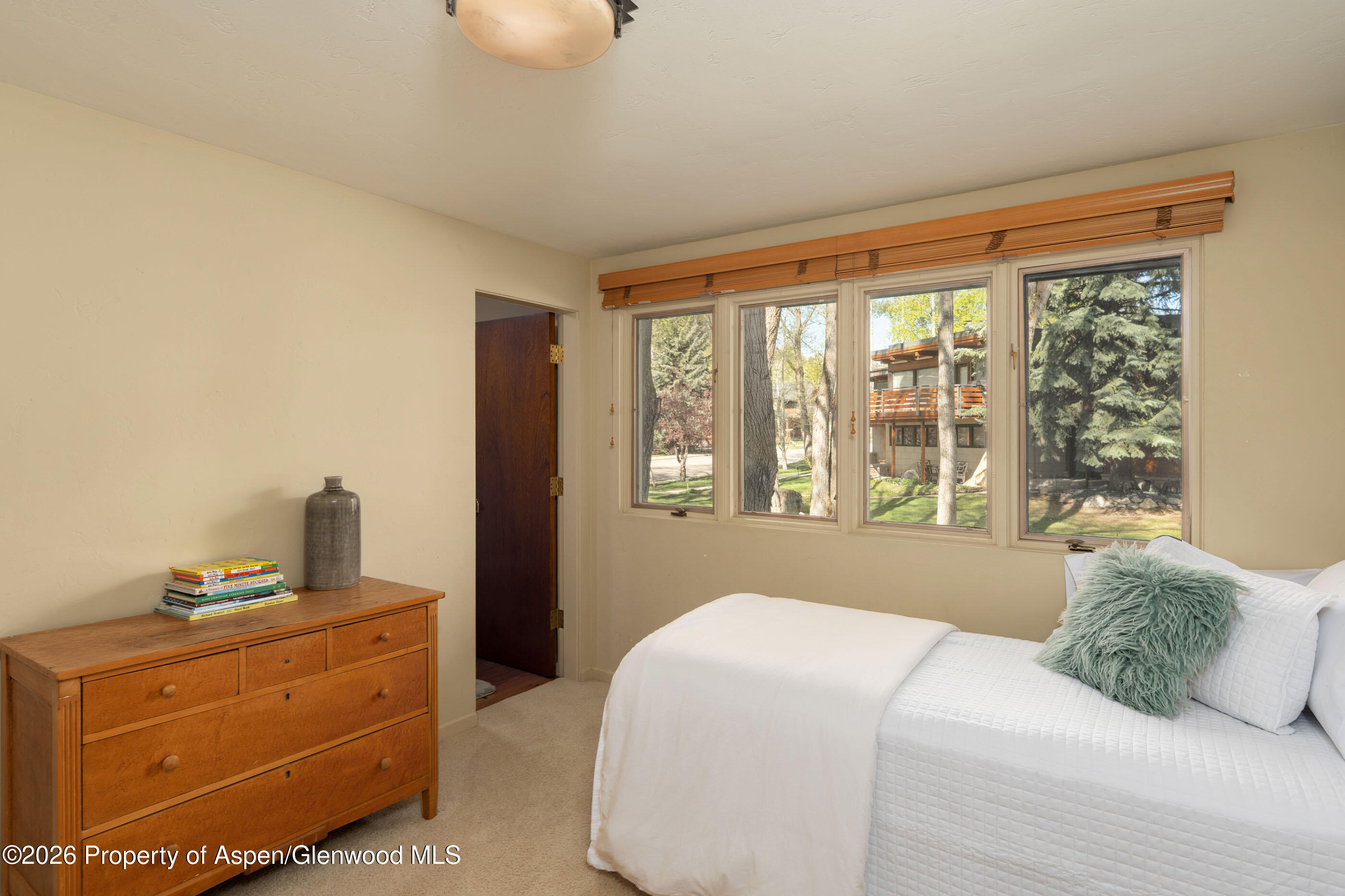 400 W Hopkins Avenue Aspen CO 81611