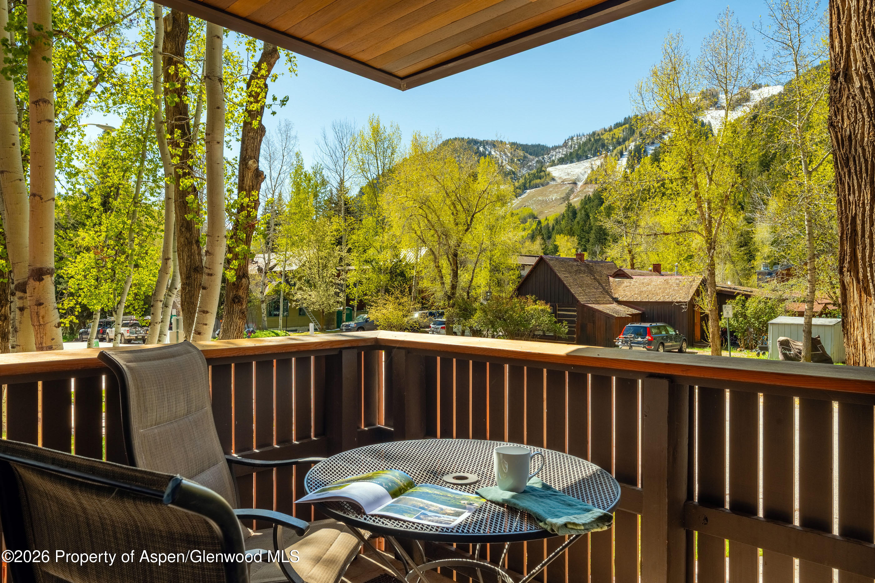 400 W Hopkins Avenue Aspen CO 81611