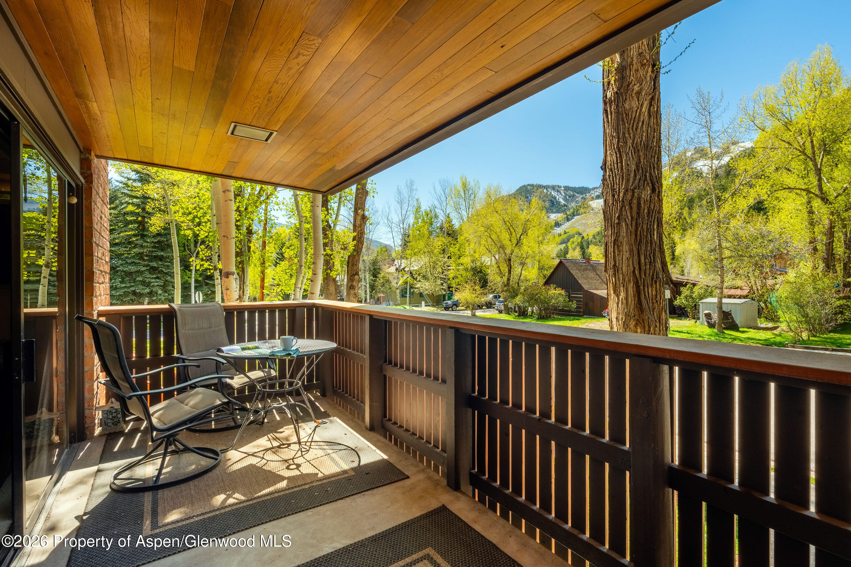 400 W Hopkins Avenue Aspen CO 81611