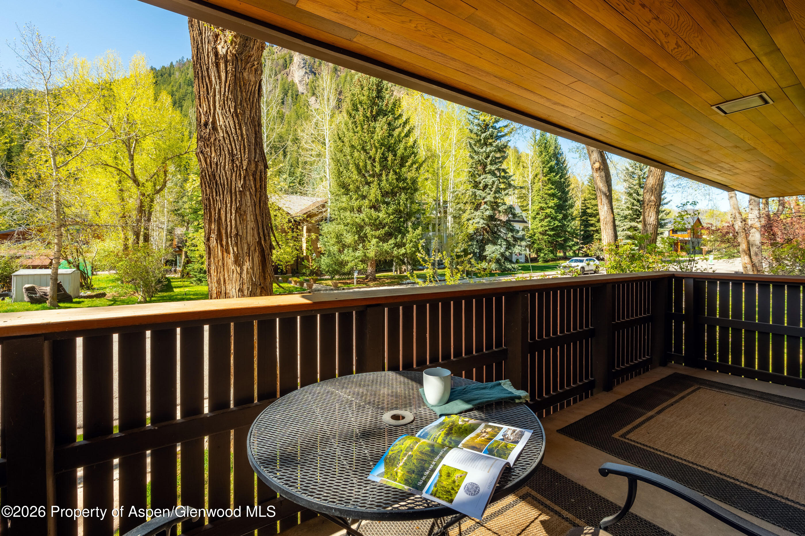 400 W Hopkins Avenue Aspen CO 81611