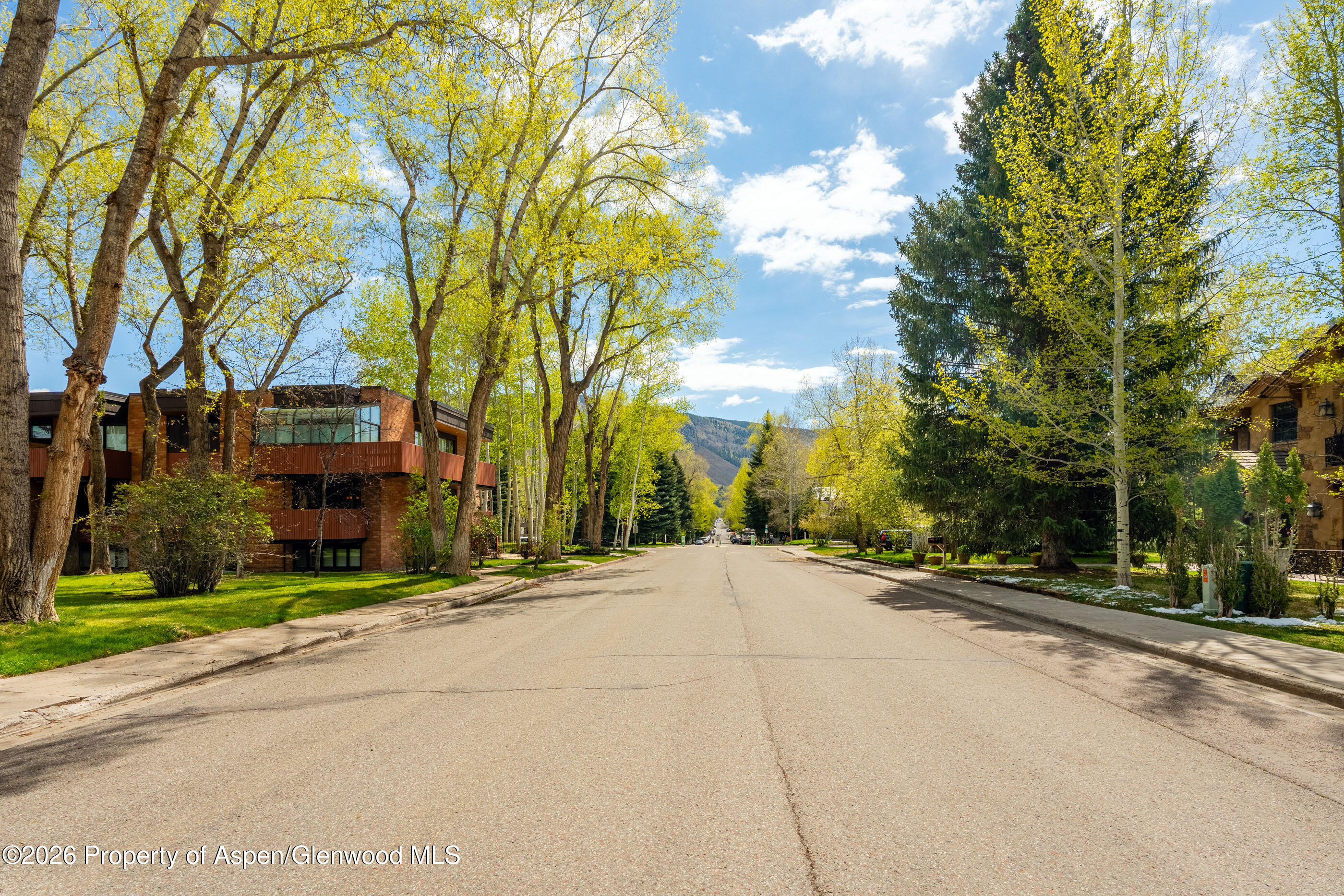 400 W Hopkins Avenue Aspen CO 81611
