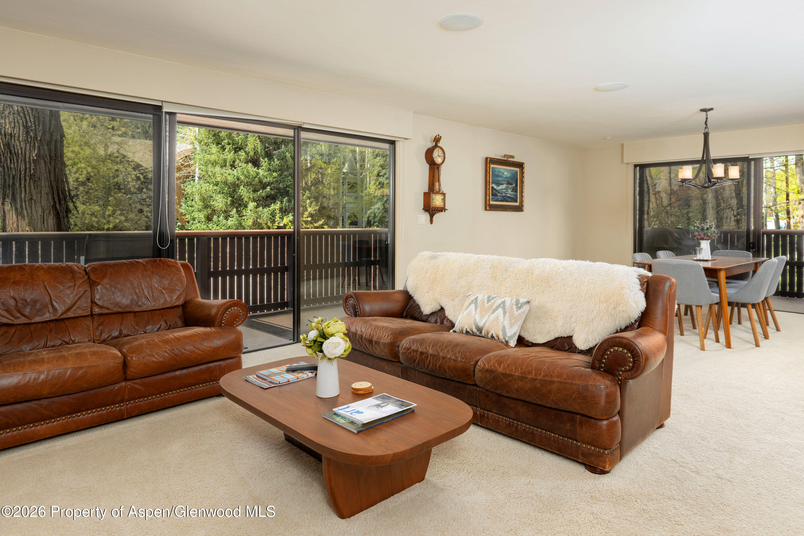 400 W Hopkins Avenue Aspen CO 81611