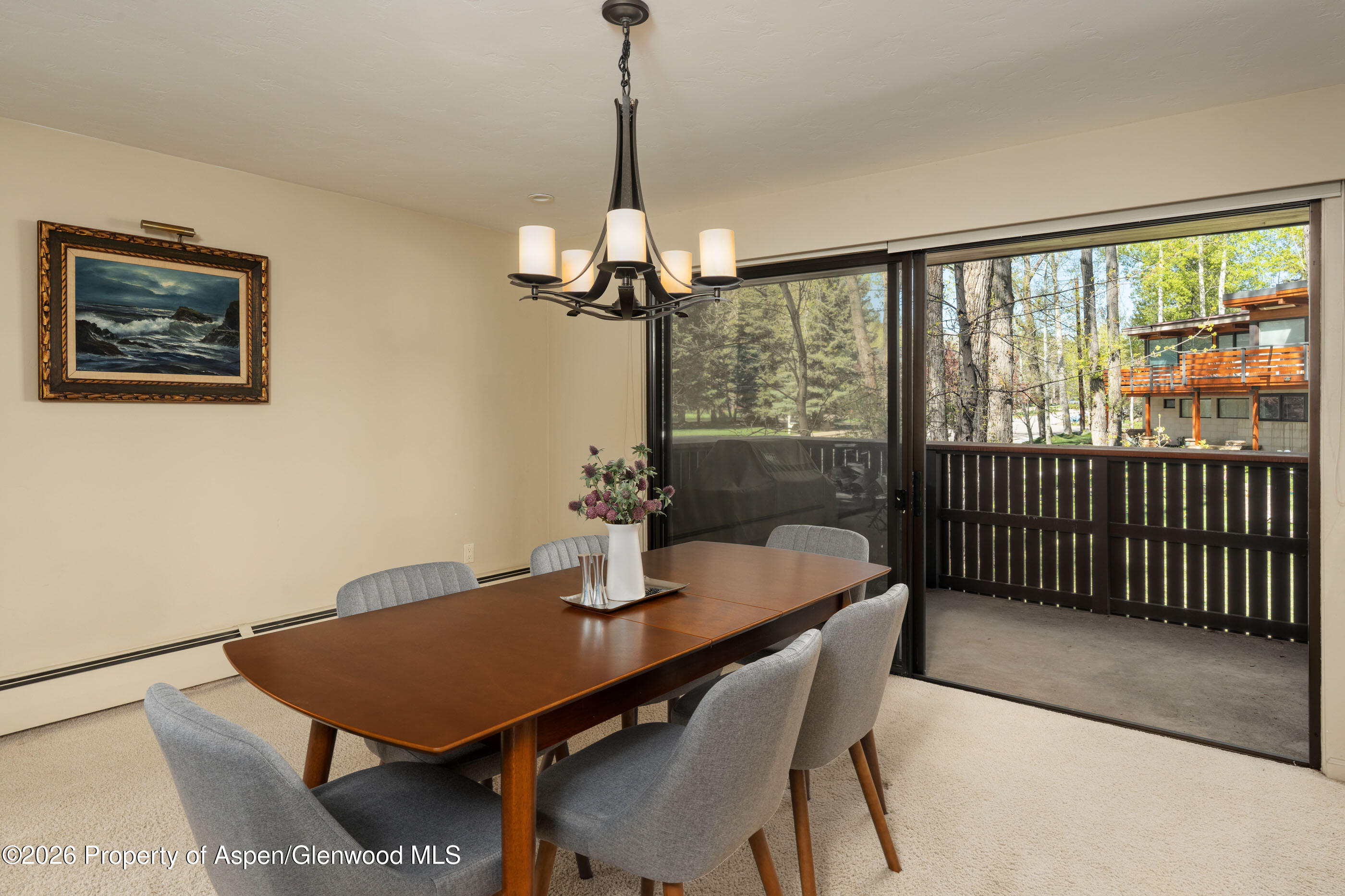 400 W Hopkins Avenue Aspen CO 81611