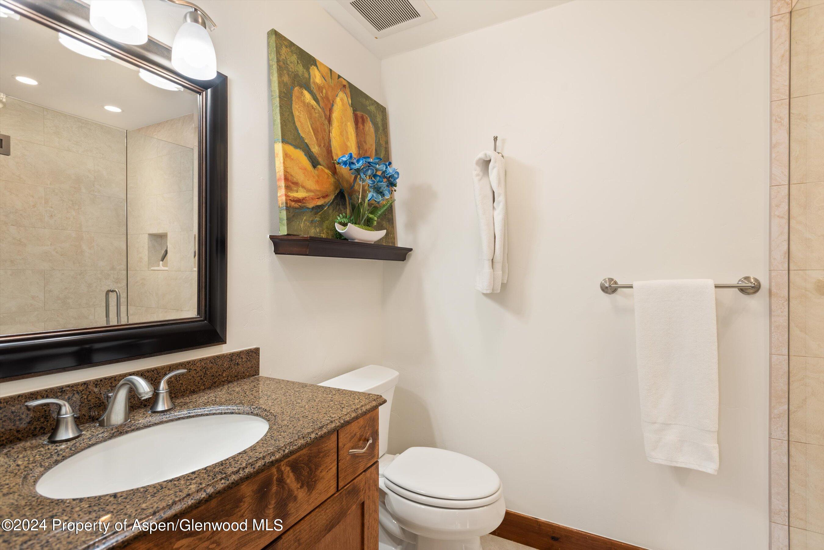 374 Meadow Ranch Road Snowmass Village CO 81615