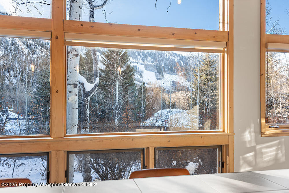 1215 Riverside Drive Aspen CO 81611