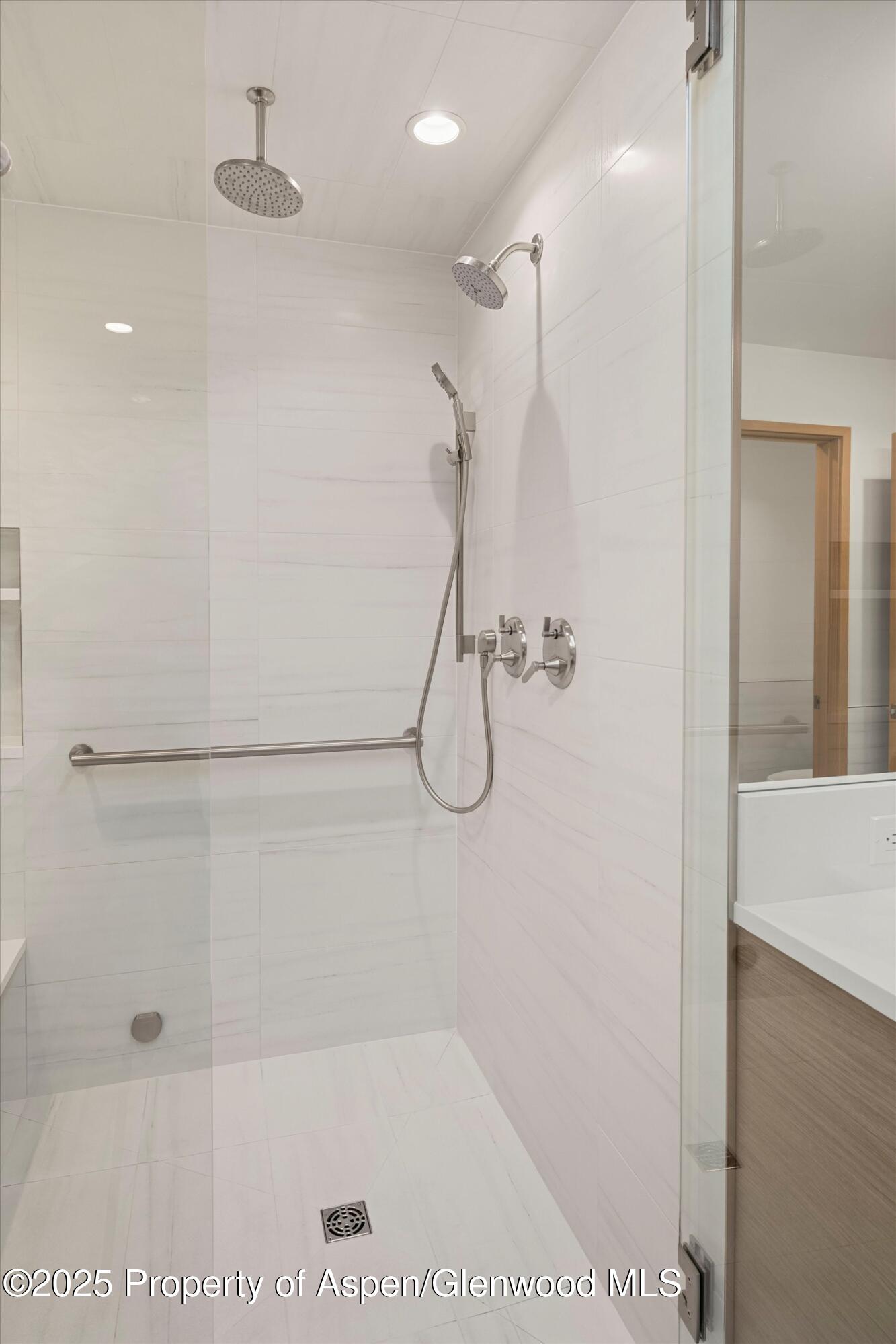 447 E Cooper Avenue Aspen CO 81611