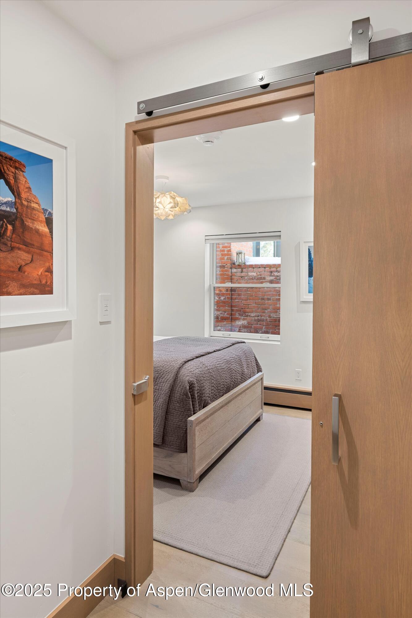 447 E Cooper Avenue Aspen CO 81611