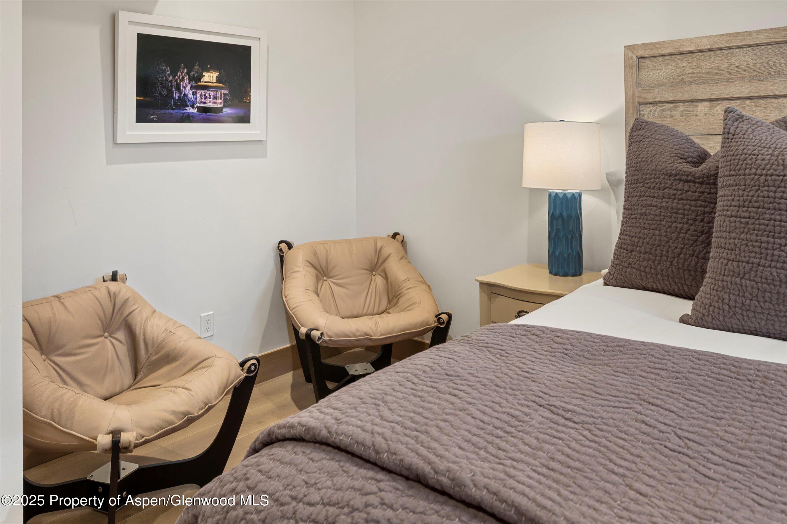 447 E Cooper Avenue Aspen CO 81611