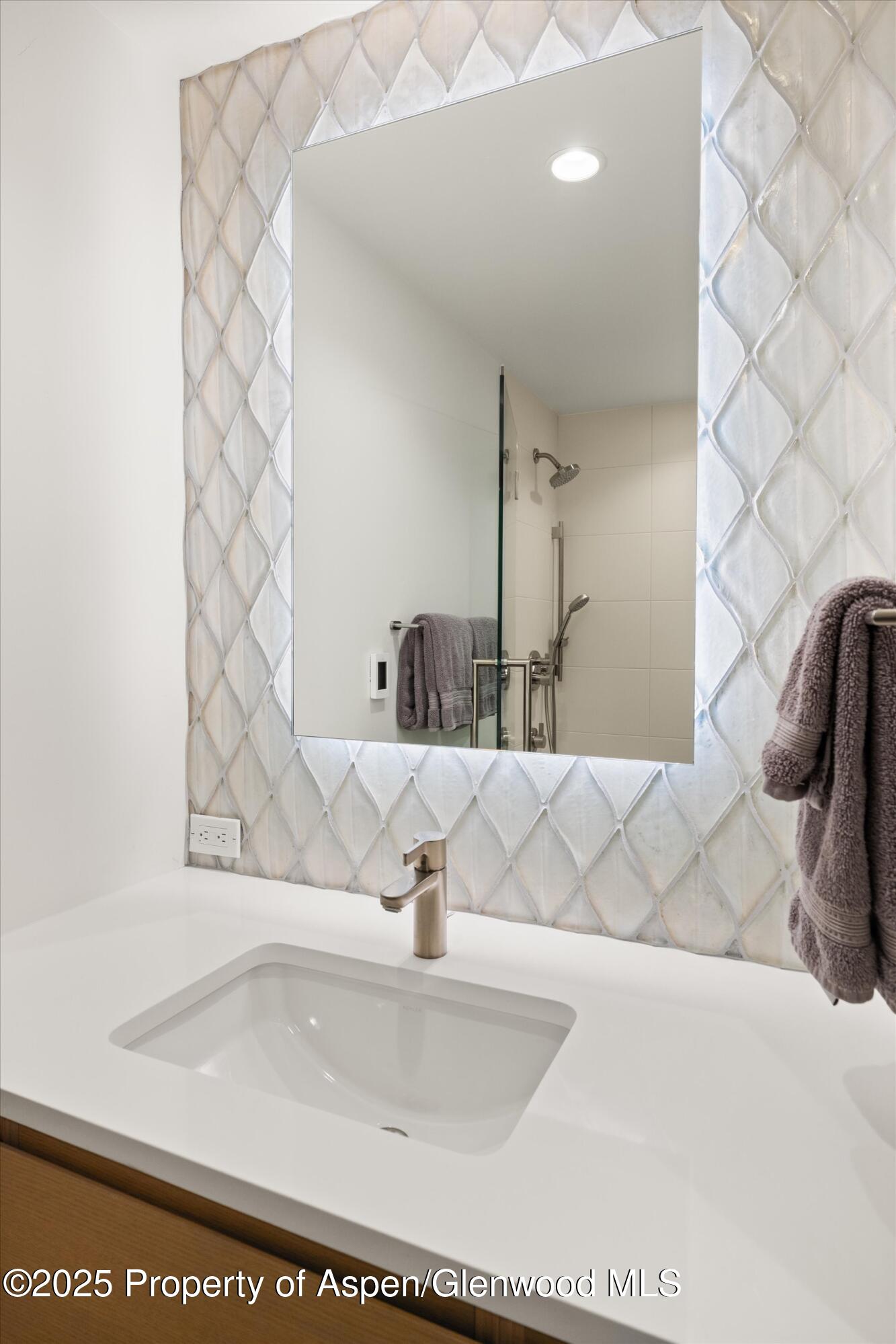 447 E Cooper Avenue Aspen CO 81611