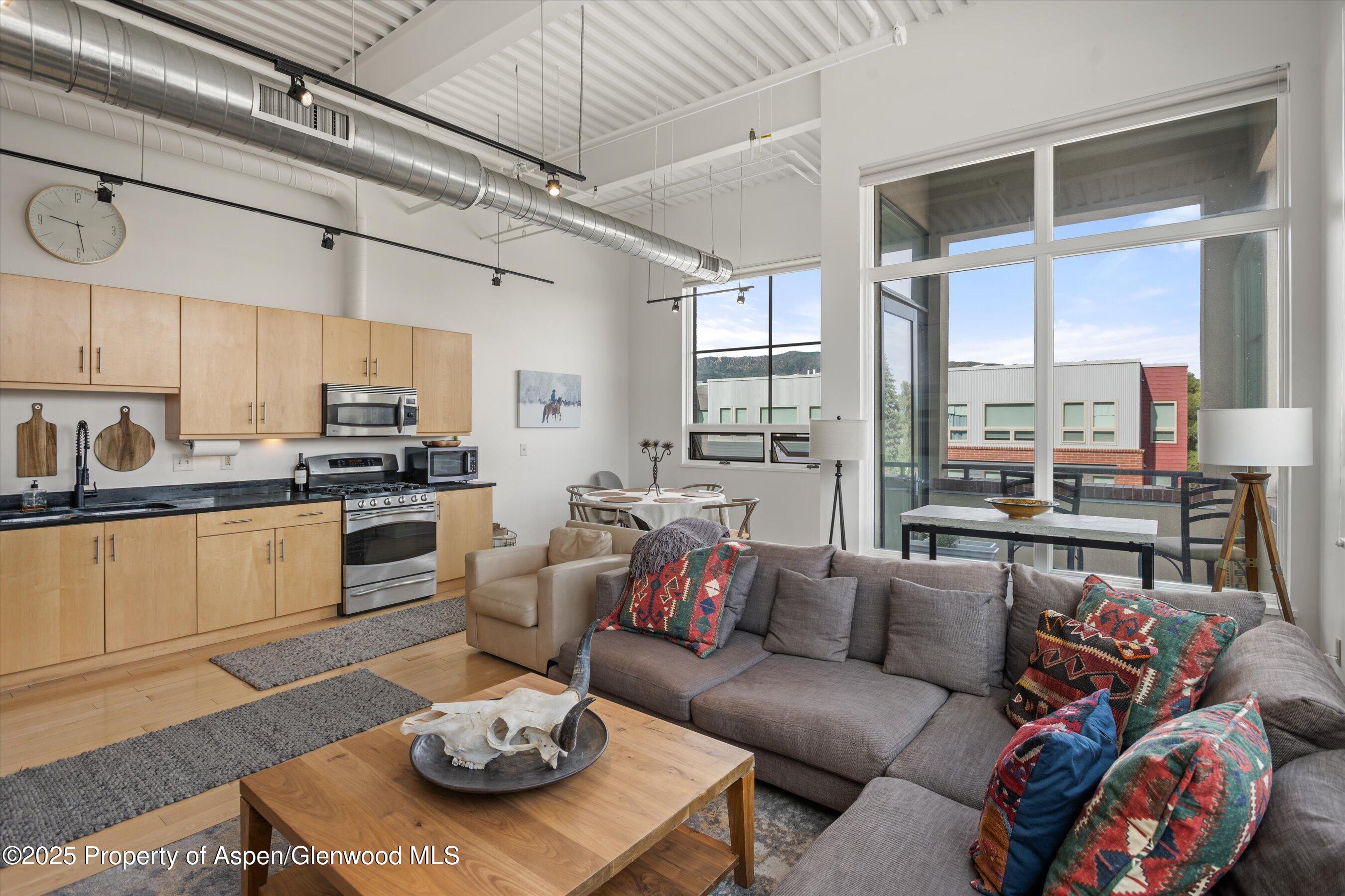 361 Robinson Street Basalt CO 81621