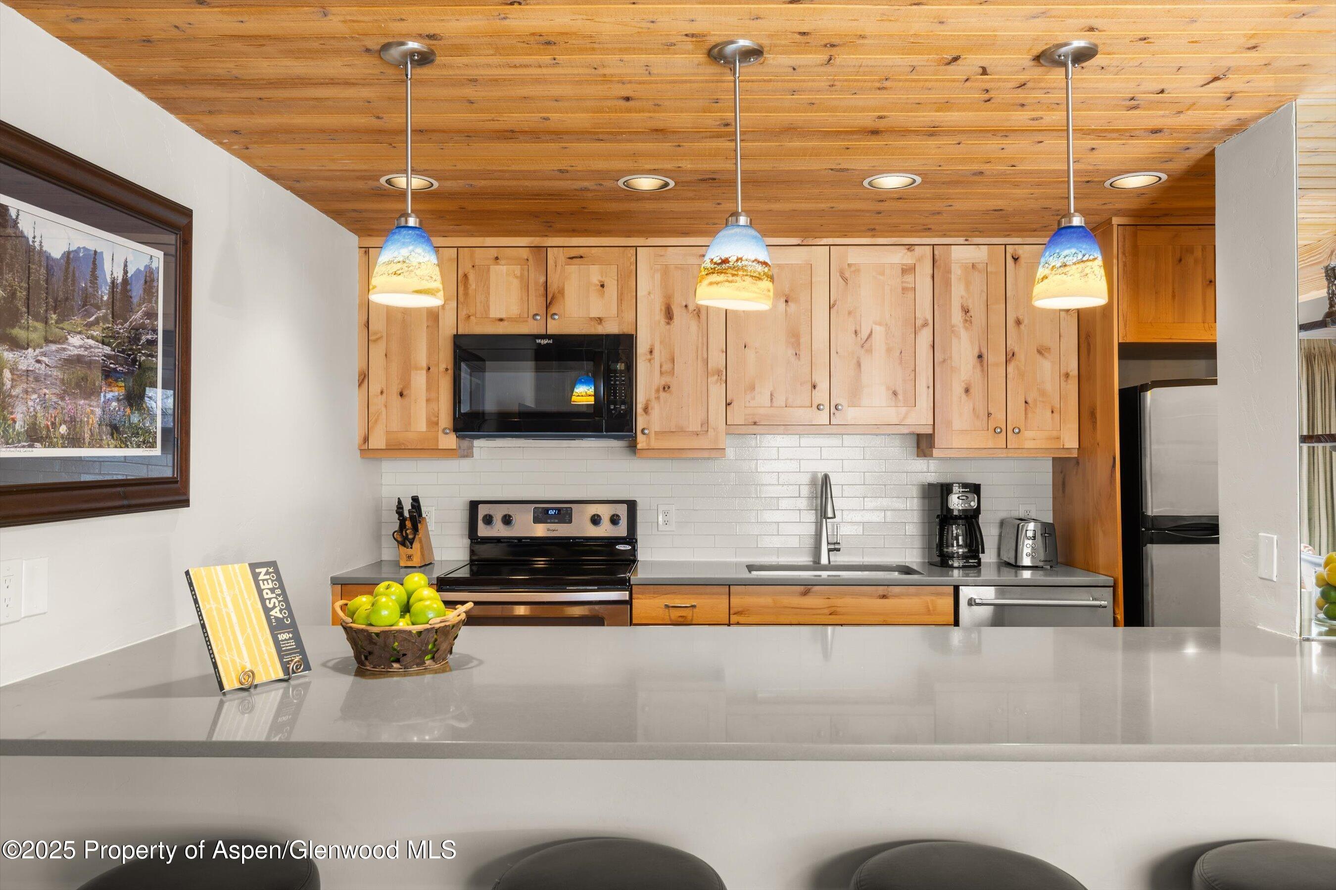 1039 E Cooper Avenue Aspen CO 81611