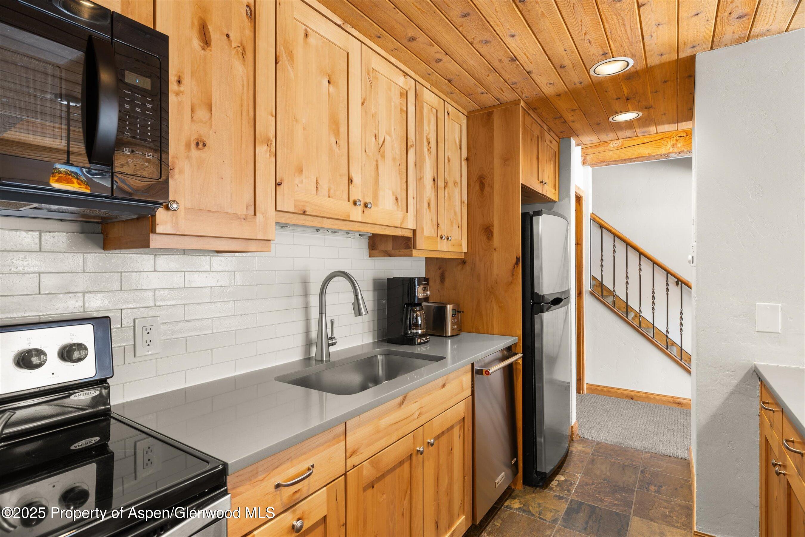 1039 E Cooper Avenue Aspen CO 81611