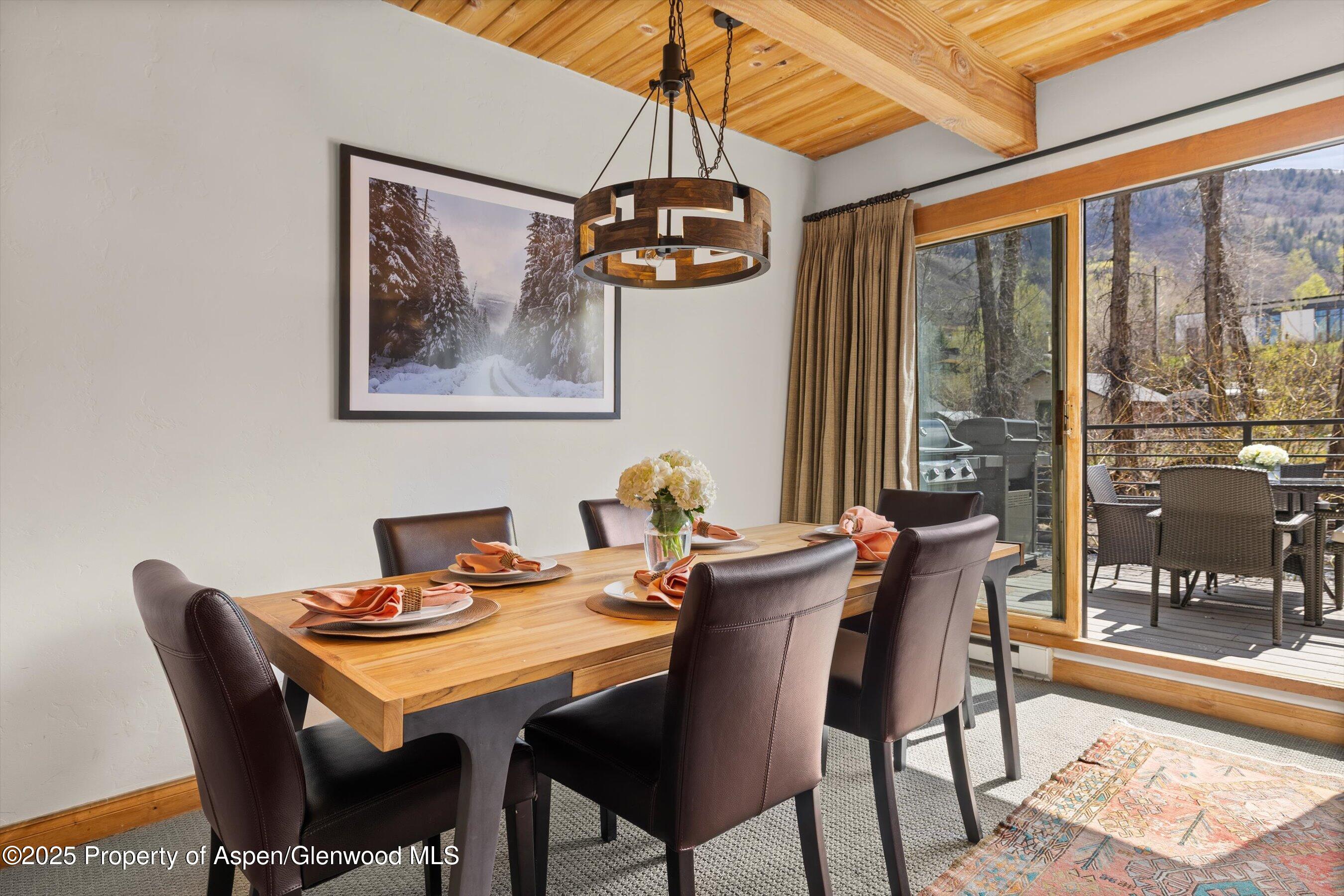 1039 E Cooper Avenue Aspen CO 81611