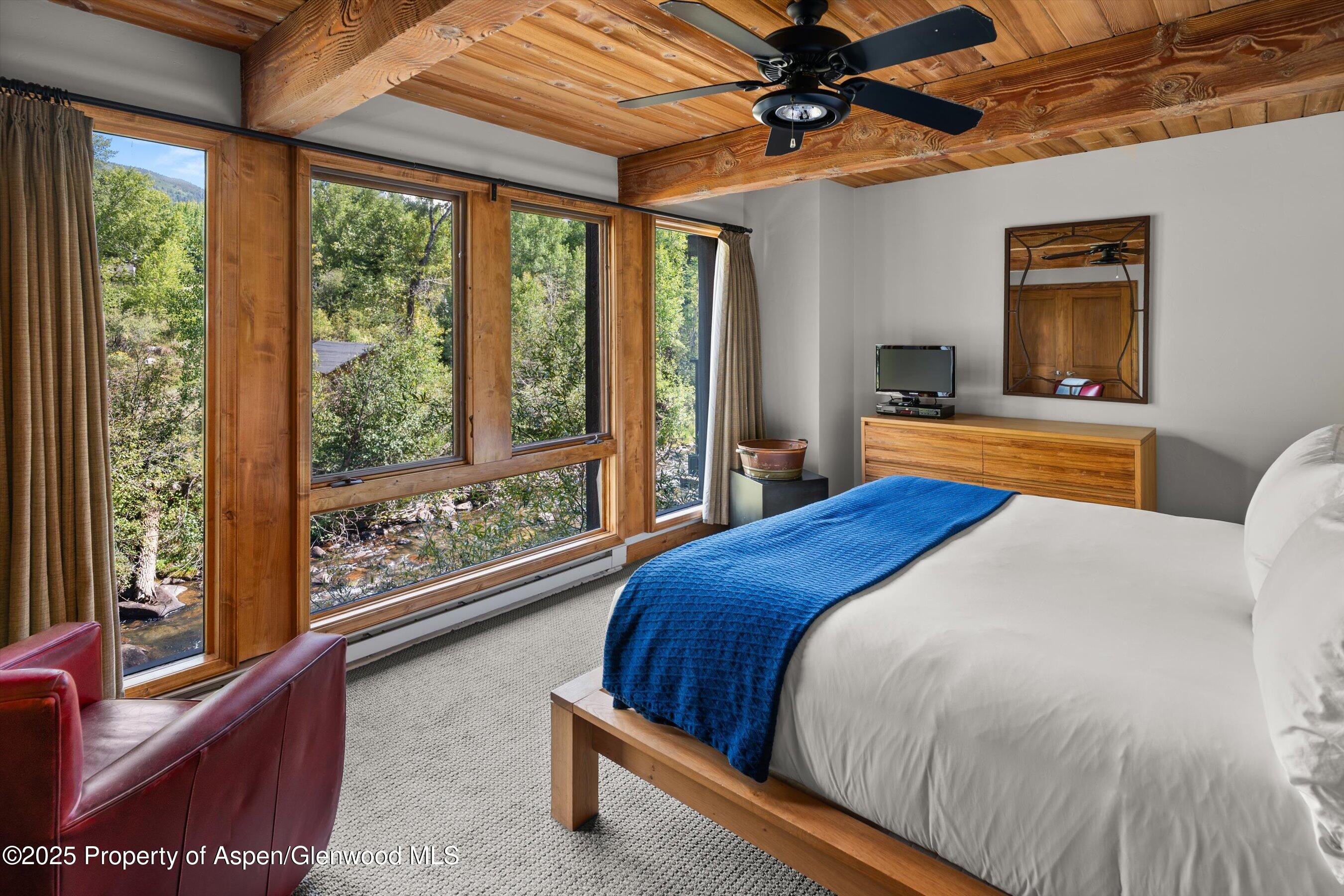 1039 E Cooper Avenue Aspen CO 81611