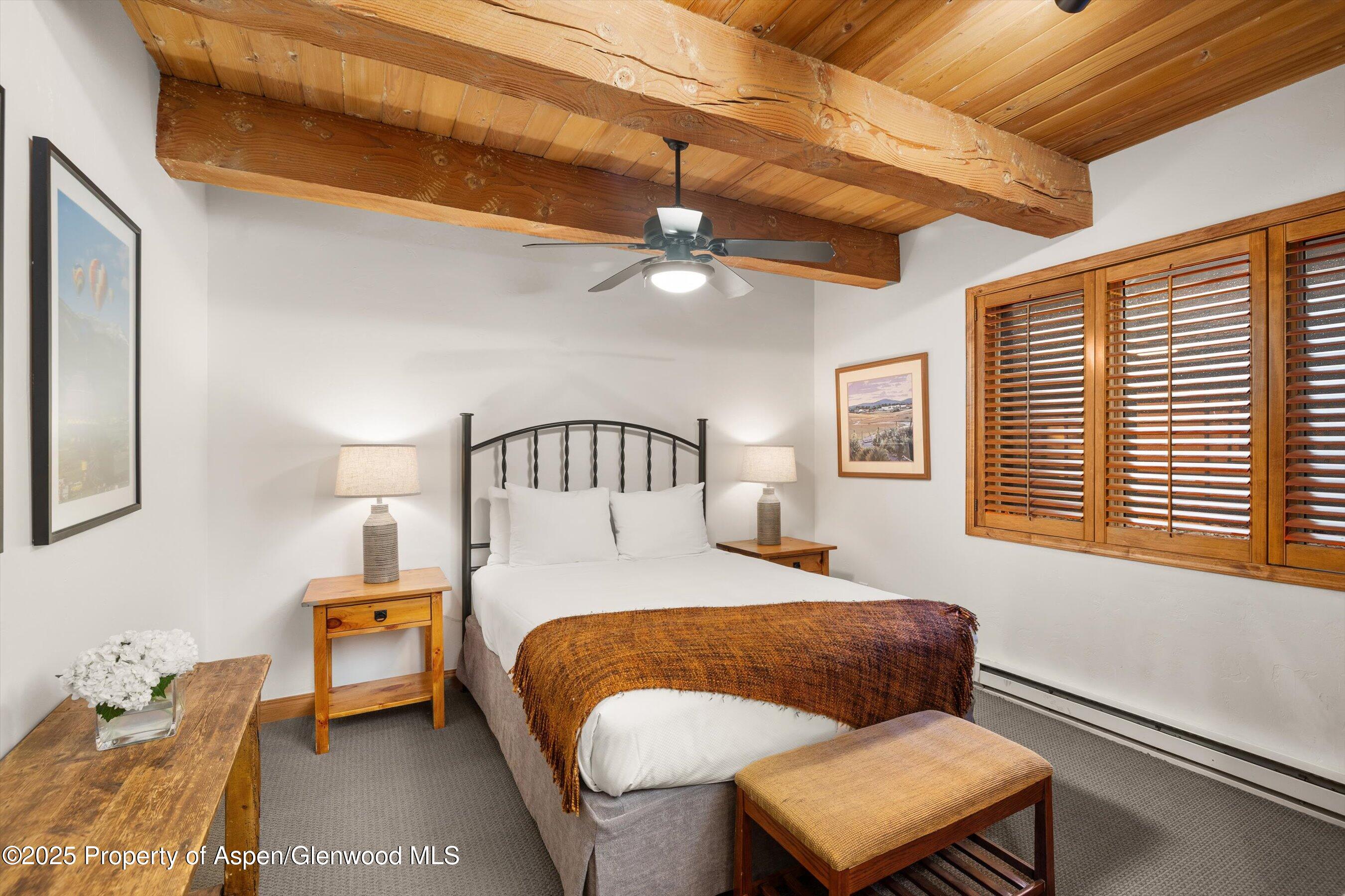 1039 E Cooper Avenue Aspen CO 81611