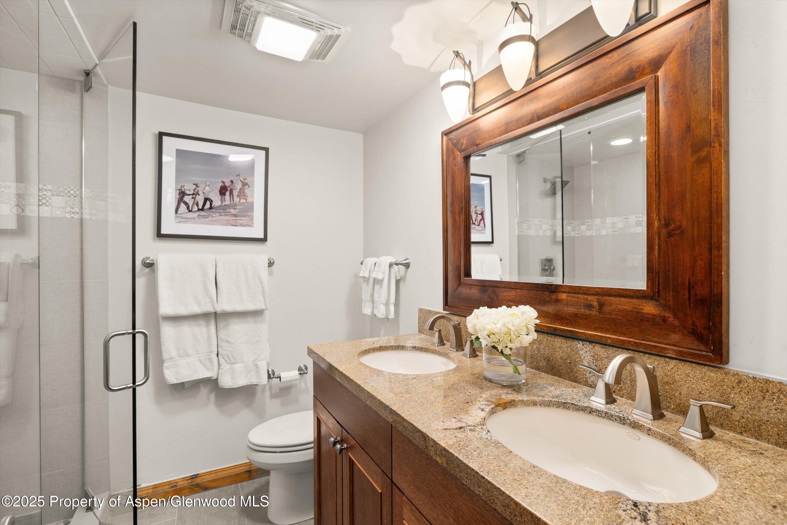 1039 E Cooper Avenue Aspen CO 81611
