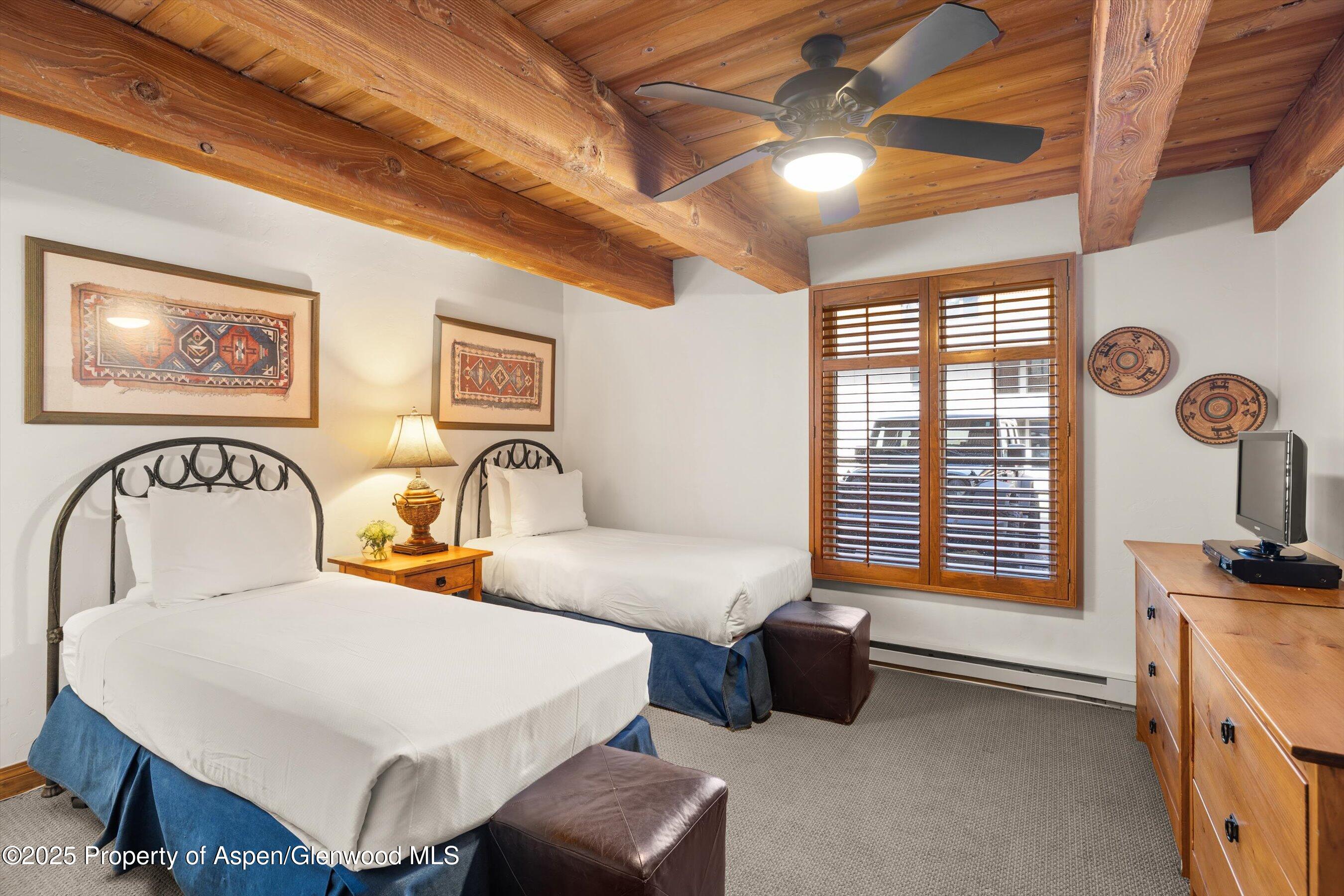 1039 E Cooper Avenue Aspen CO 81611