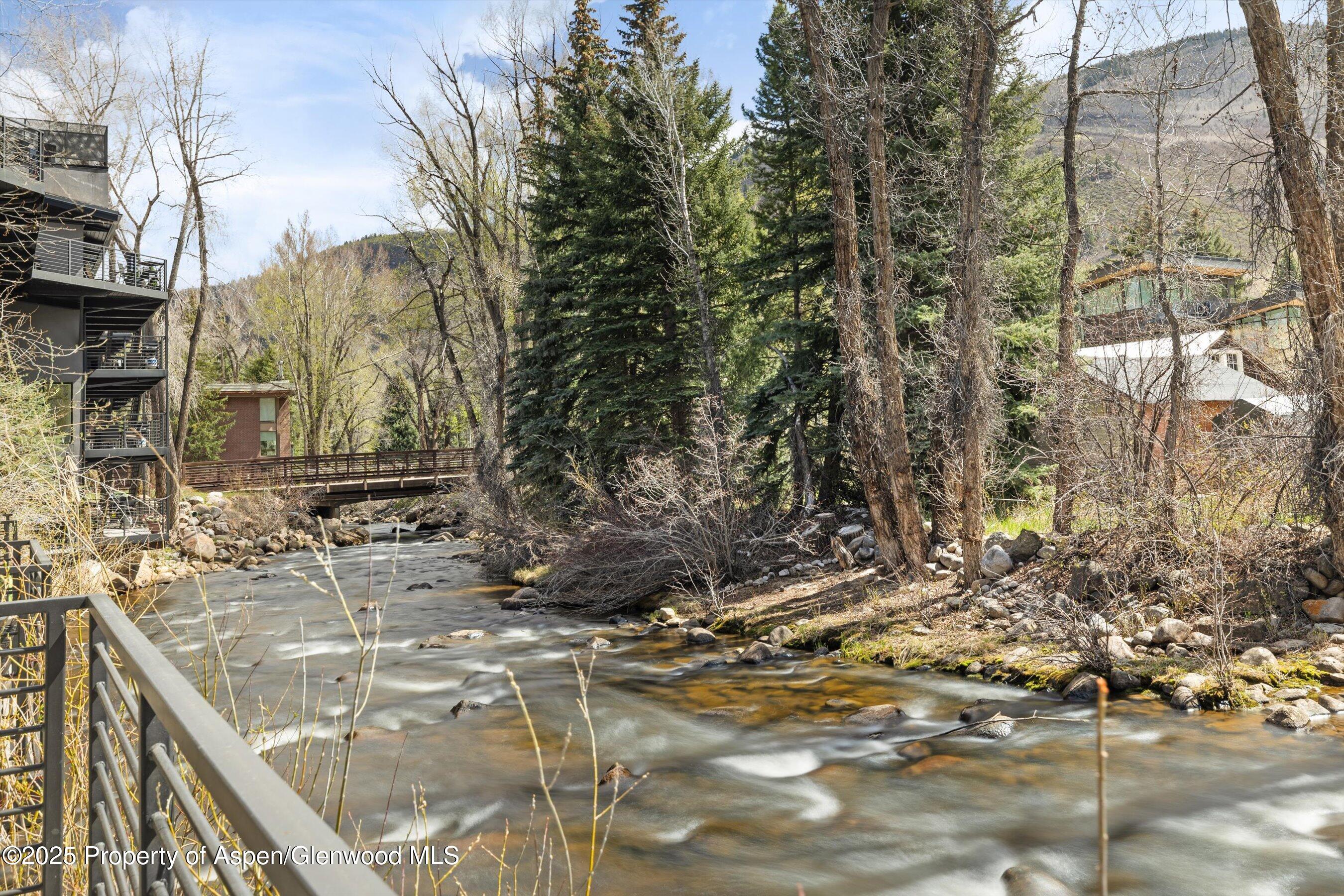 1039 E Cooper Avenue Aspen CO 81611