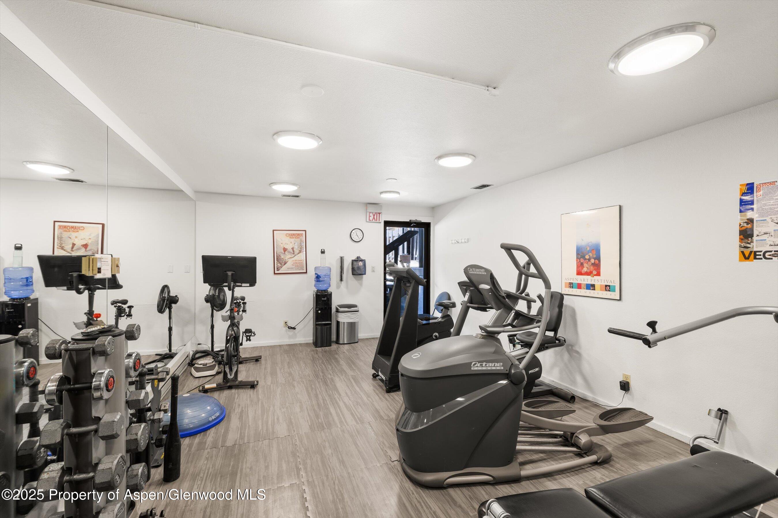 1039 E Cooper Avenue Aspen CO 81611