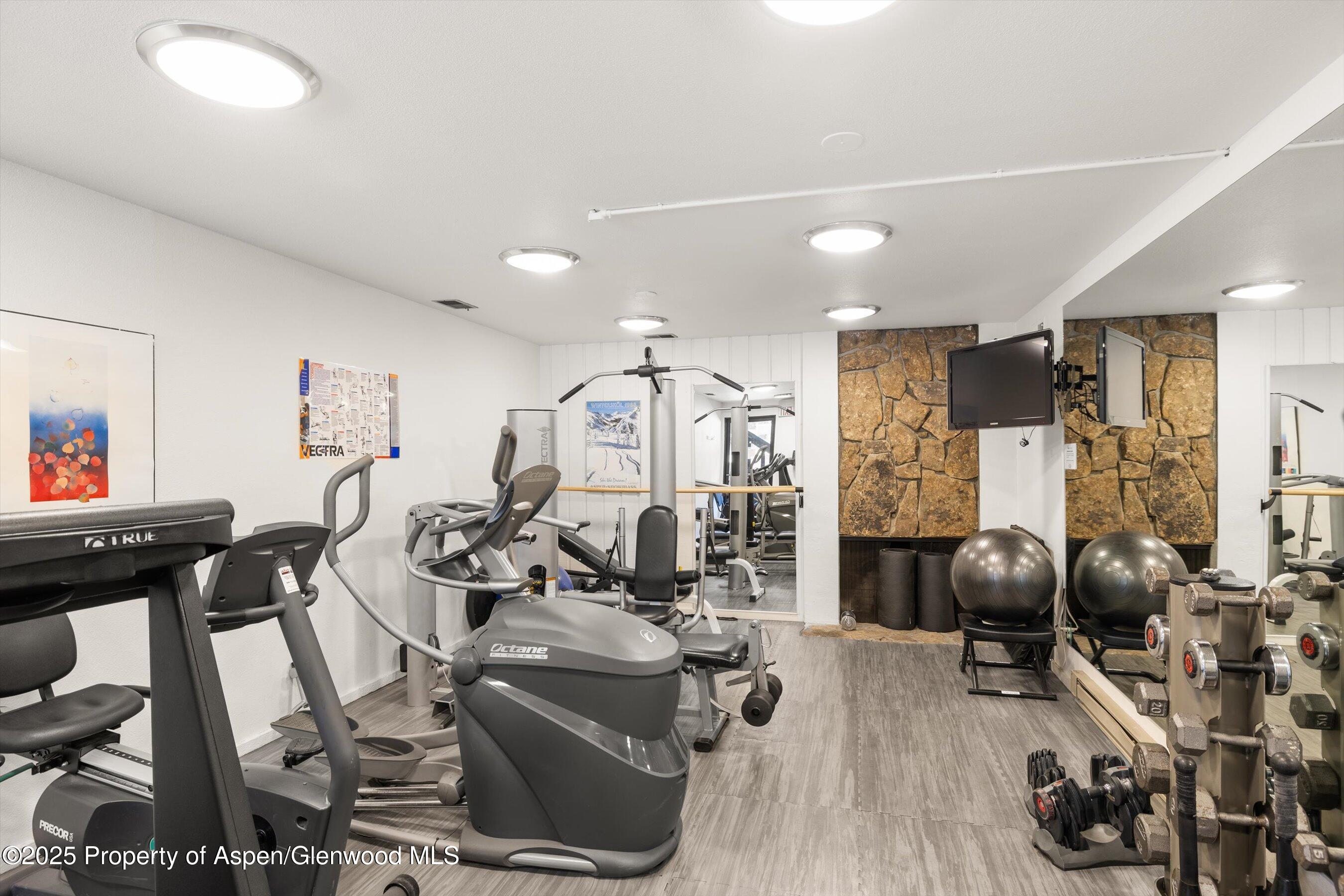 1039 E Cooper Avenue Aspen CO 81611