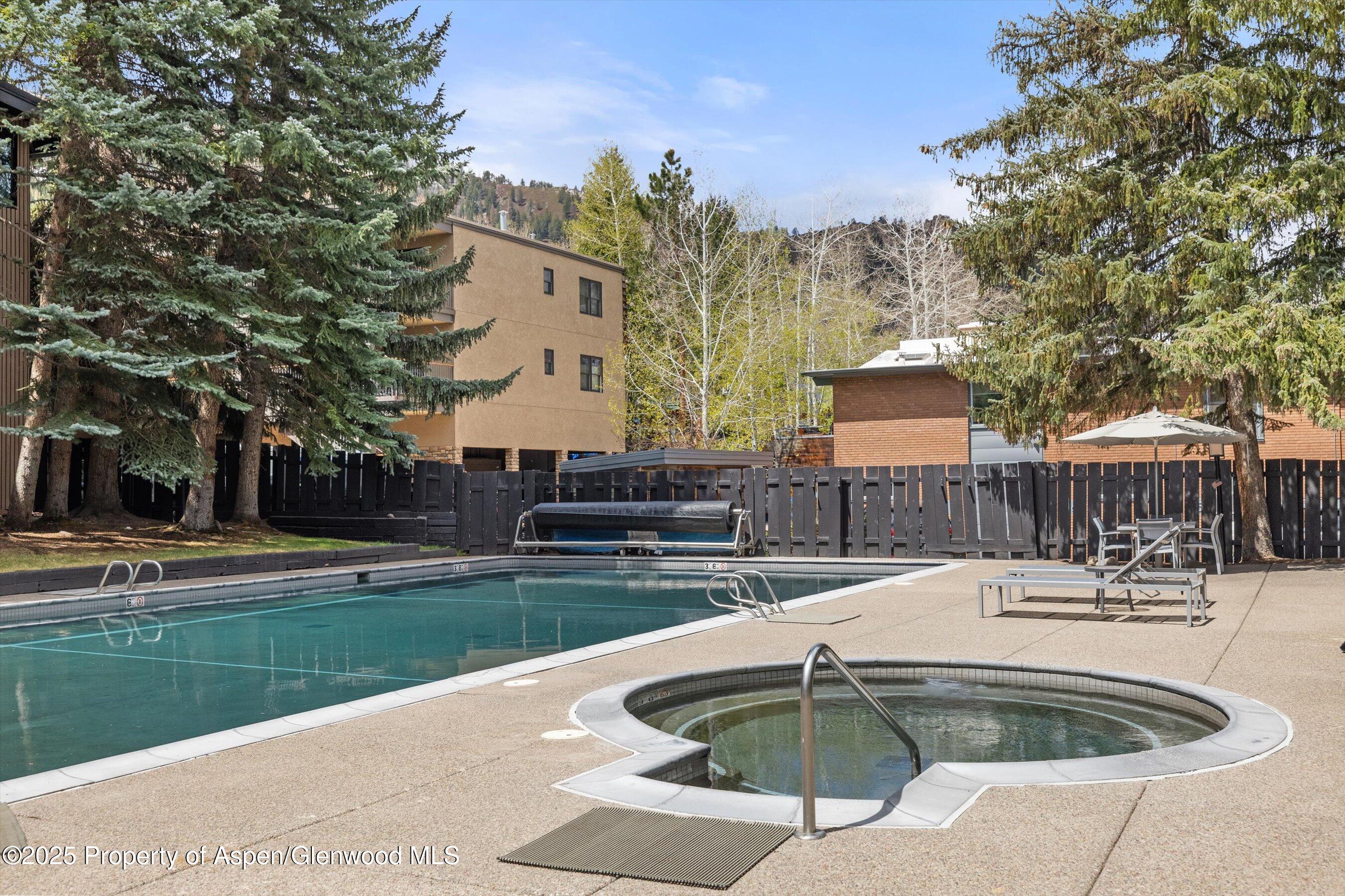 1039 E Cooper Avenue Aspen CO 81611