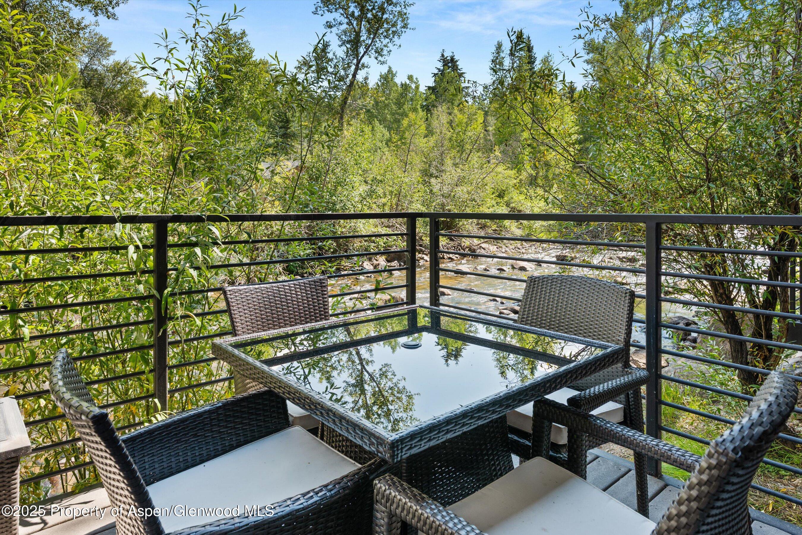 1039 E Cooper Avenue Aspen CO 81611