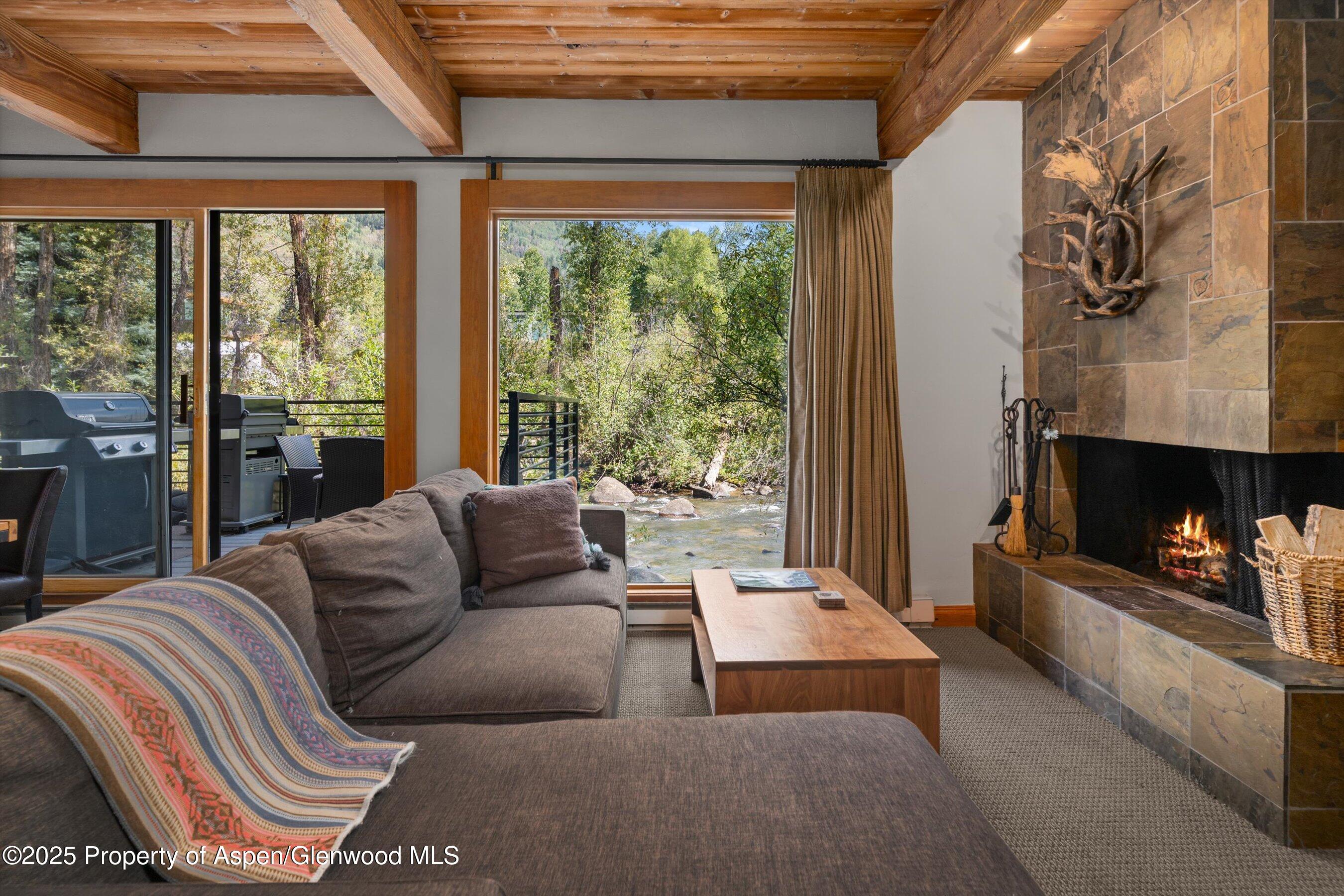 1039 E Cooper Avenue Aspen CO 81611