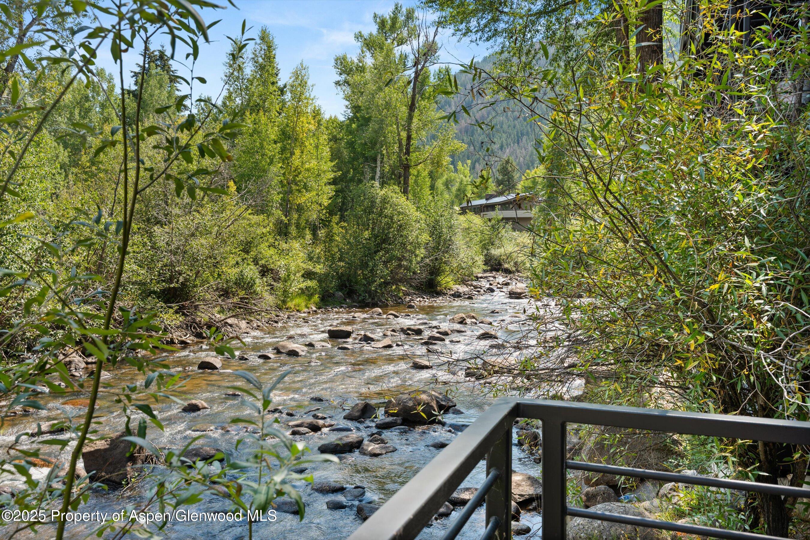 1039 E Cooper Avenue Aspen CO 81611