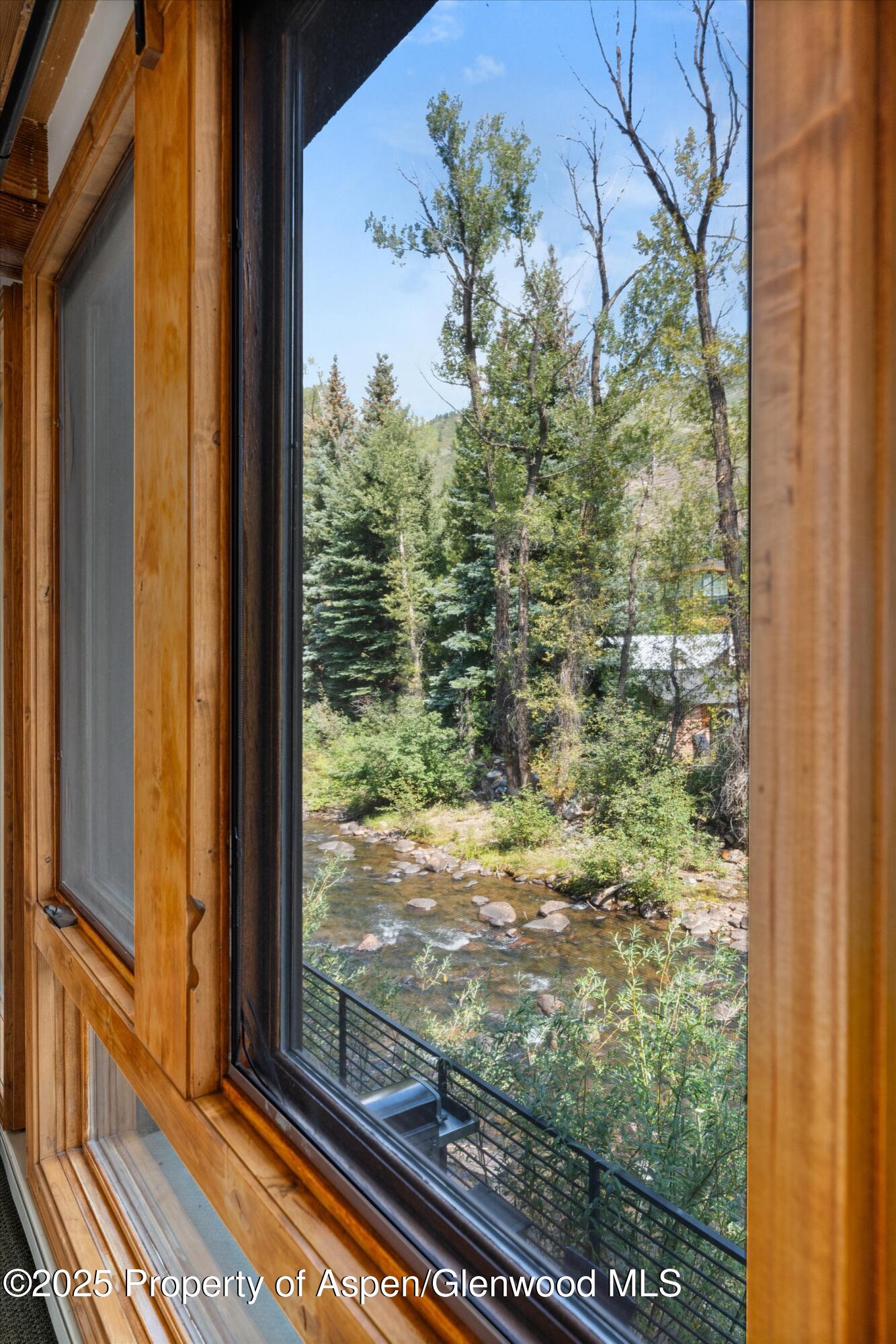 1039 E Cooper Avenue Aspen CO 81611