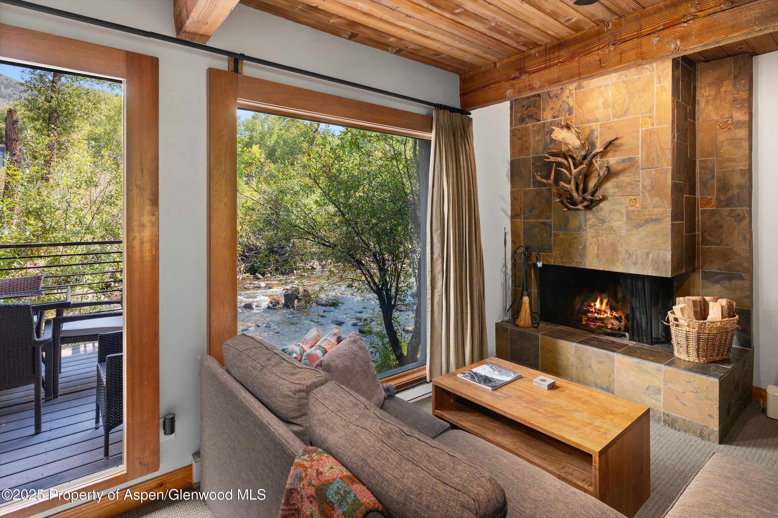 1039 E Cooper Avenue Aspen CO 81611