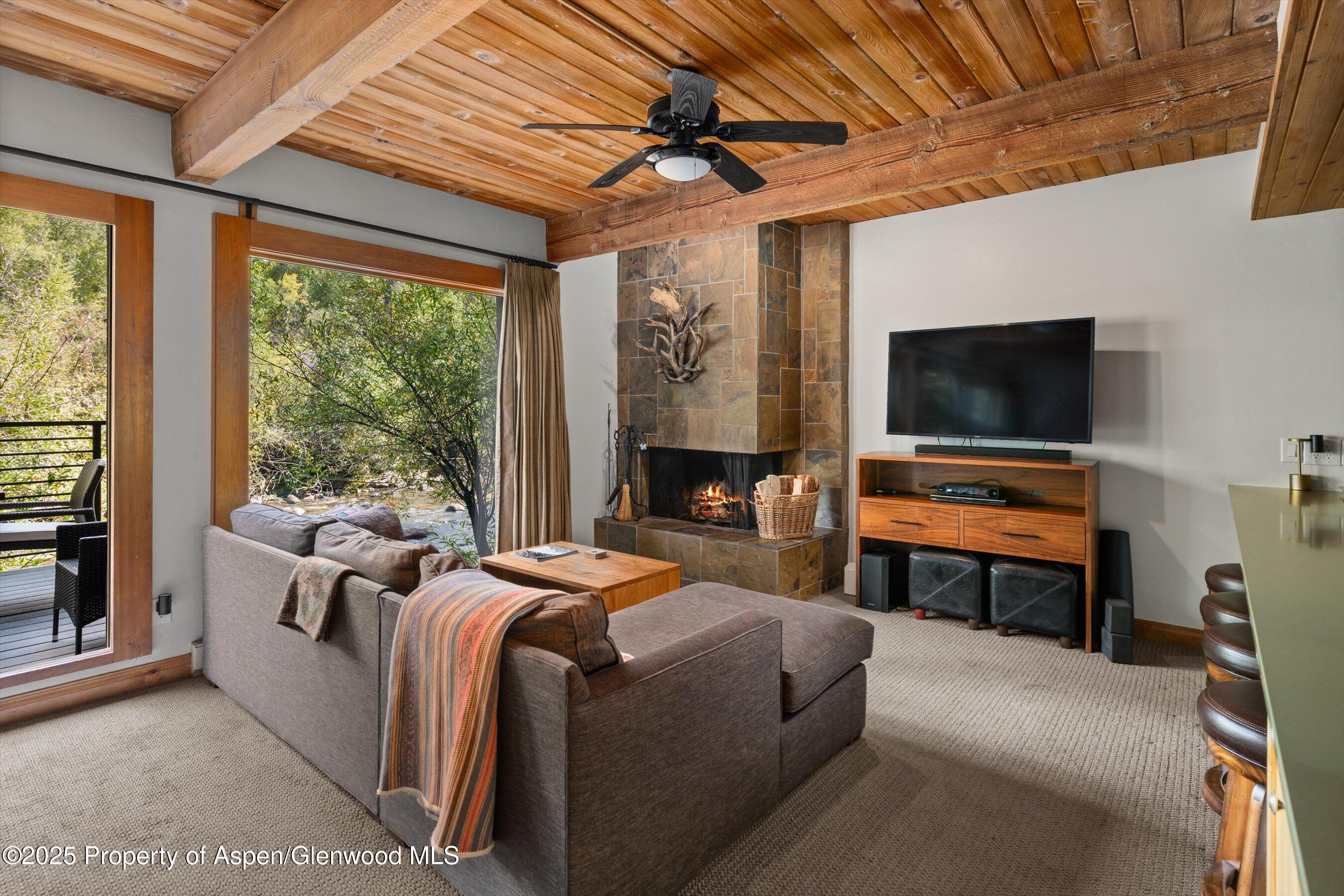 1039 E Cooper Avenue Aspen CO 81611