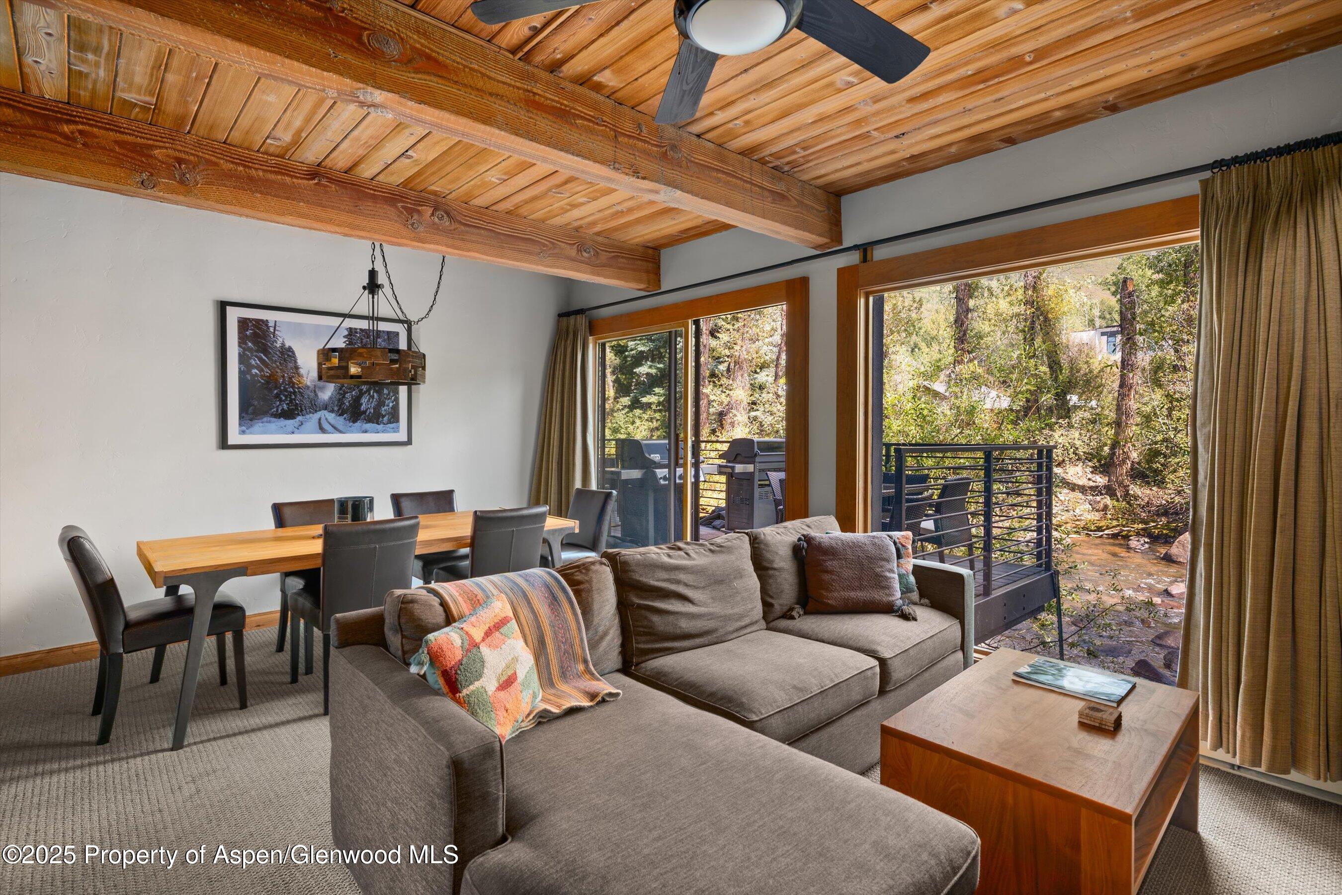 1039 E Cooper Avenue Aspen CO 81611