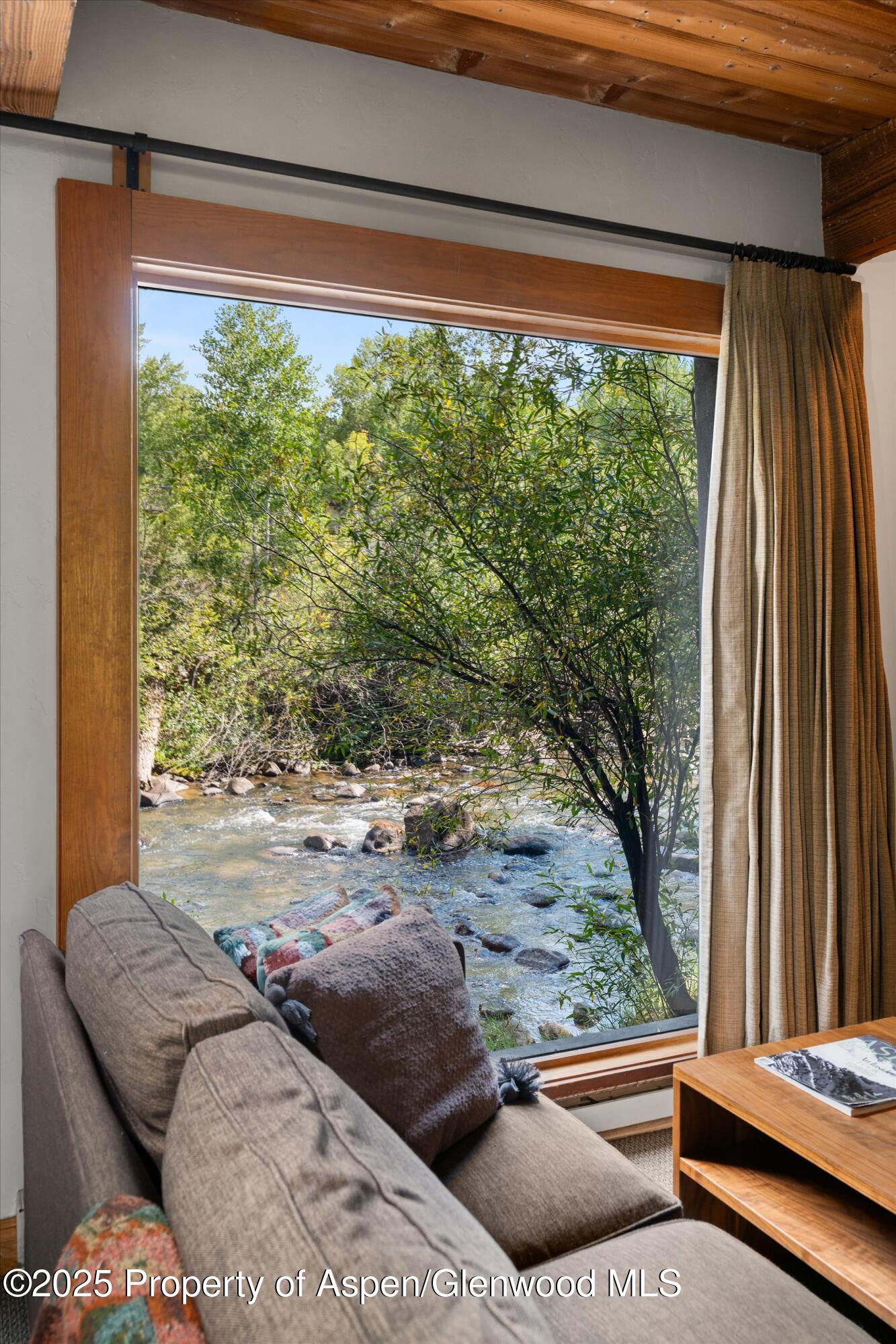 1039 E Cooper Avenue Aspen CO 81611