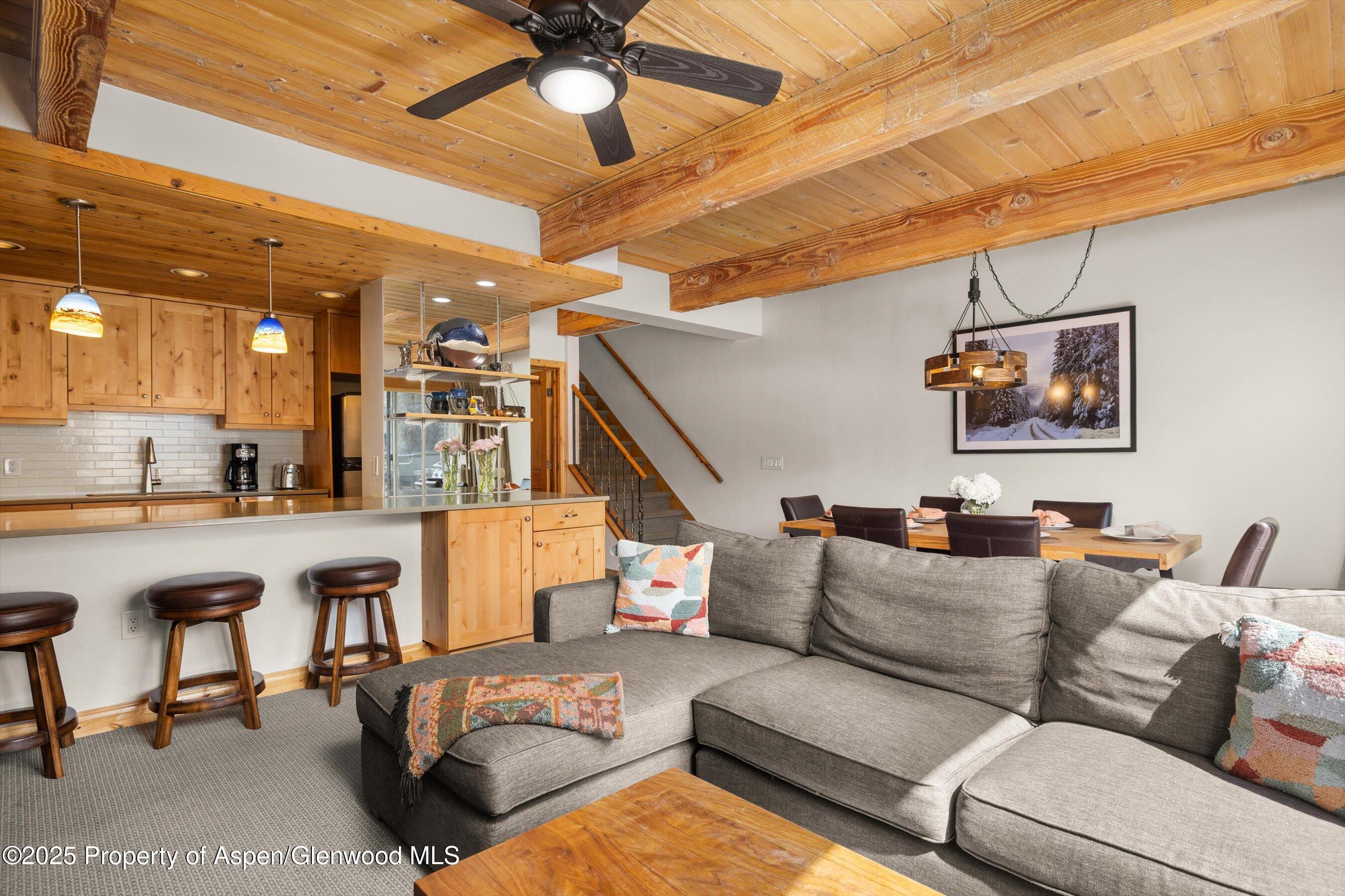 1039 E Cooper Avenue Aspen CO 81611