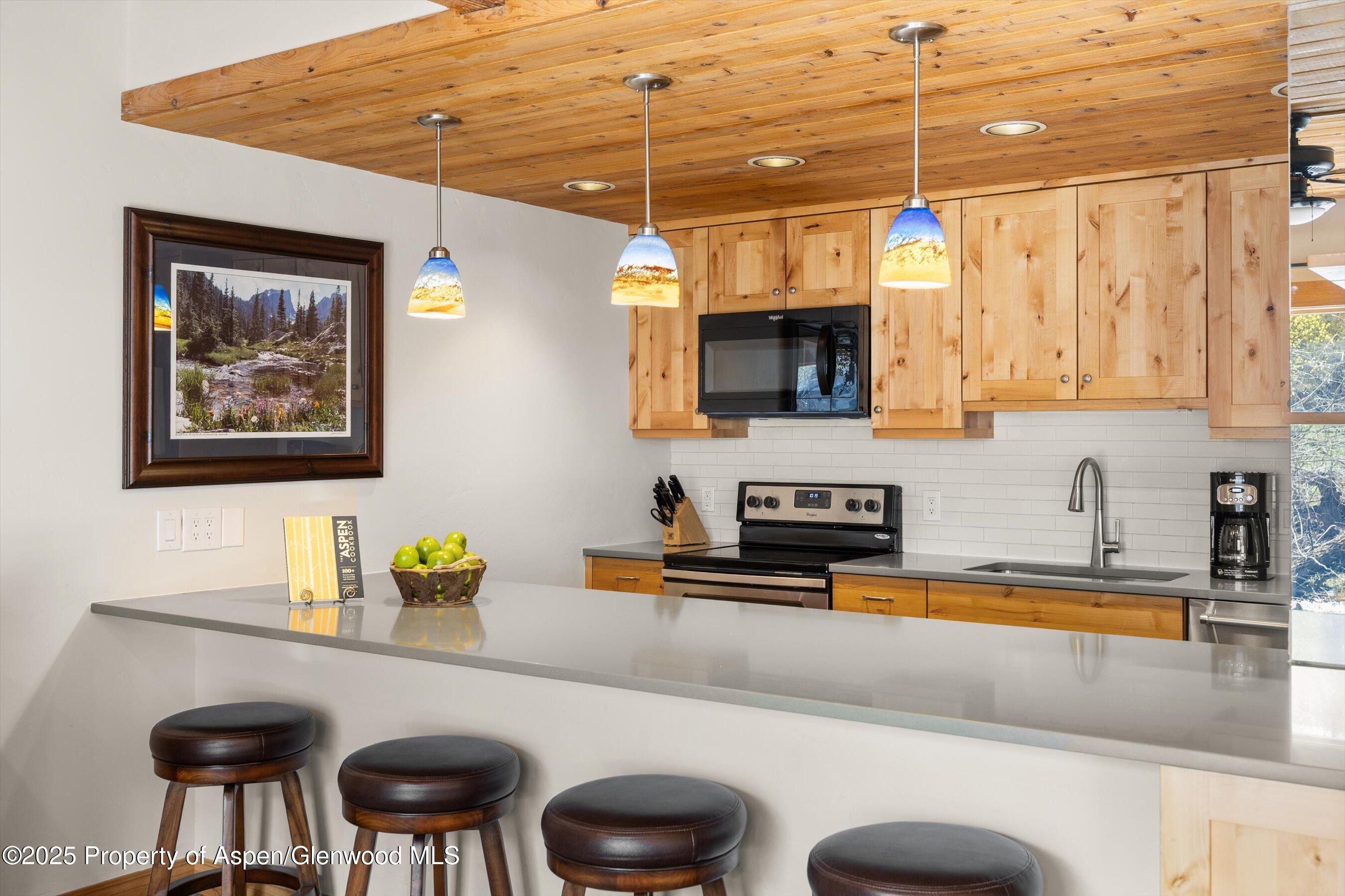 1039 E Cooper Avenue Aspen CO 81611