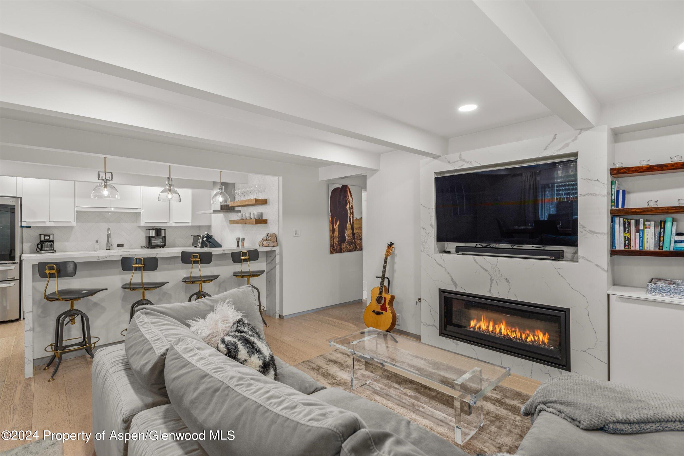 Aspen CO, 731 E Durant Avenue, Unit #2